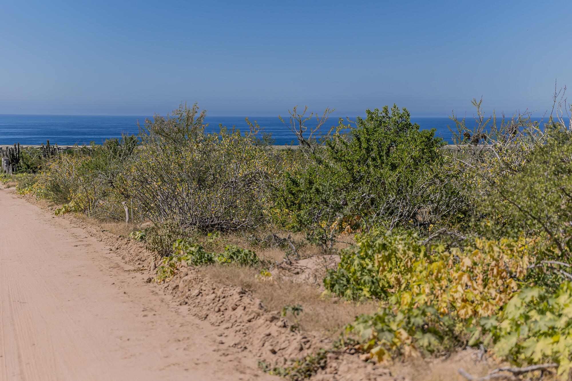 Sin nombre Lote 0600, Las Playitas Boca de la Muela