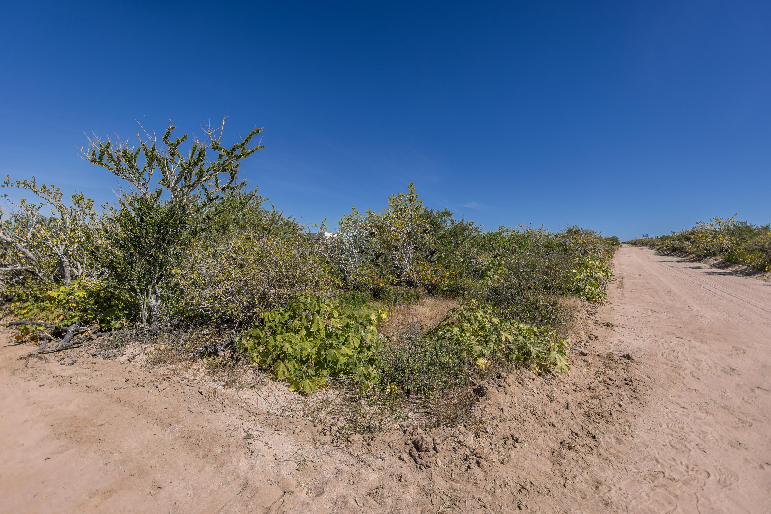 Sin nombre Lote 0600, Las Playitas Boca de la Muela