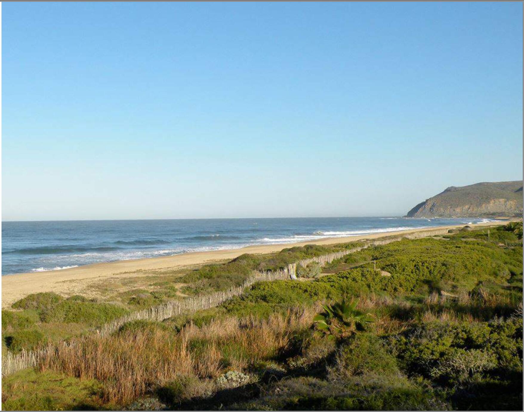 Palm Orchard Reserve