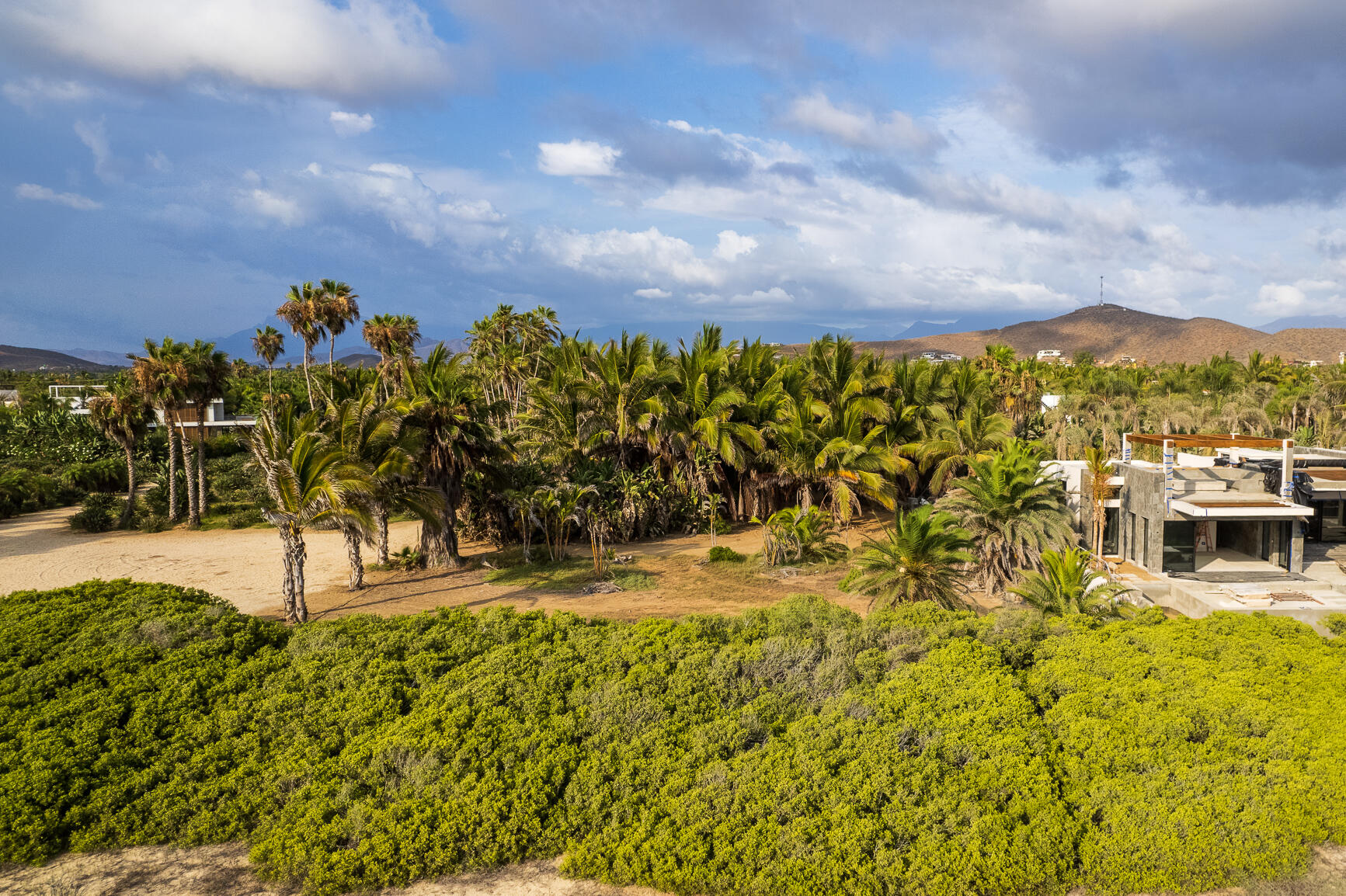 Palm Orchard Reserve