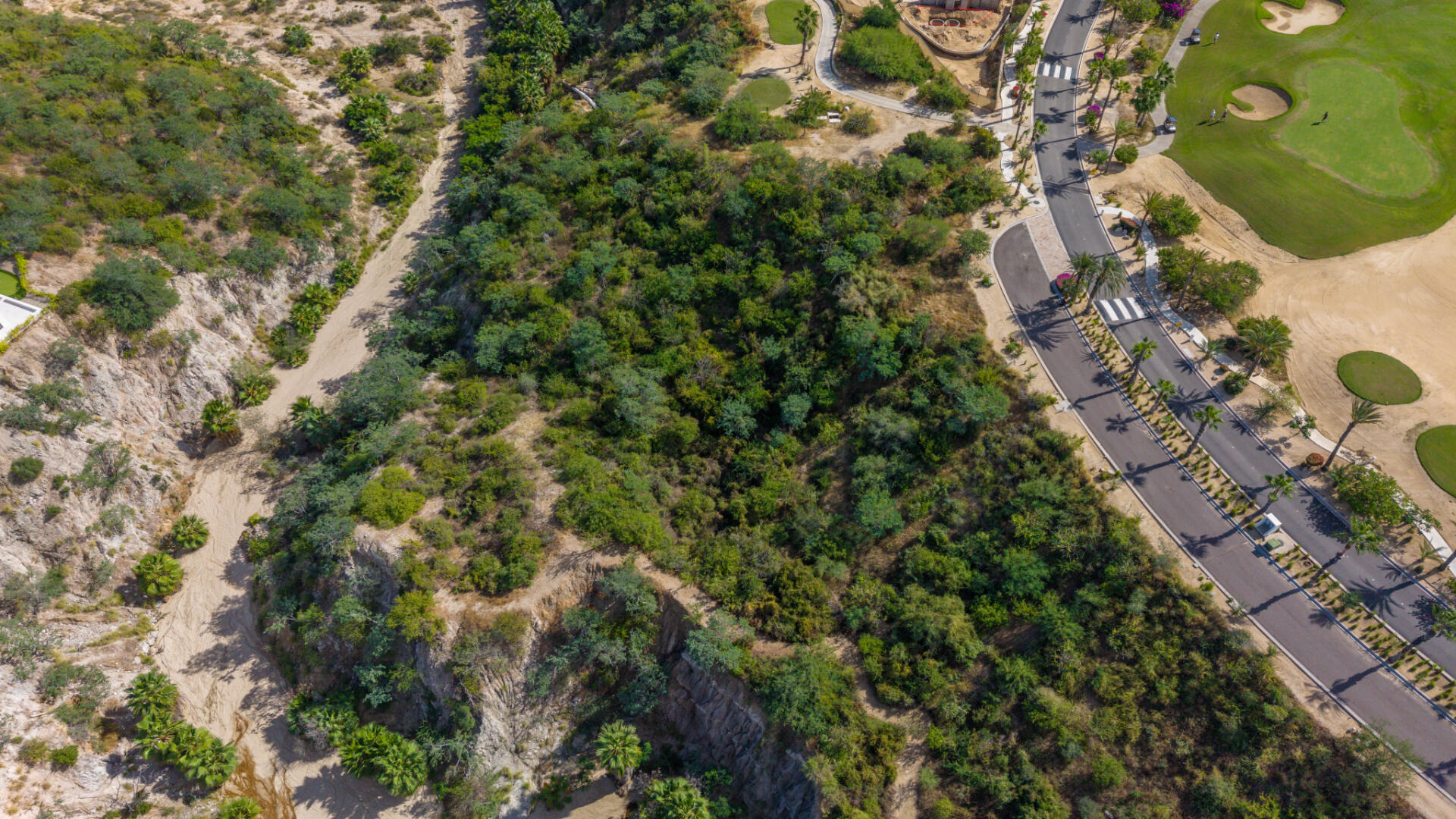 Palmilla Canyon Homesite 5