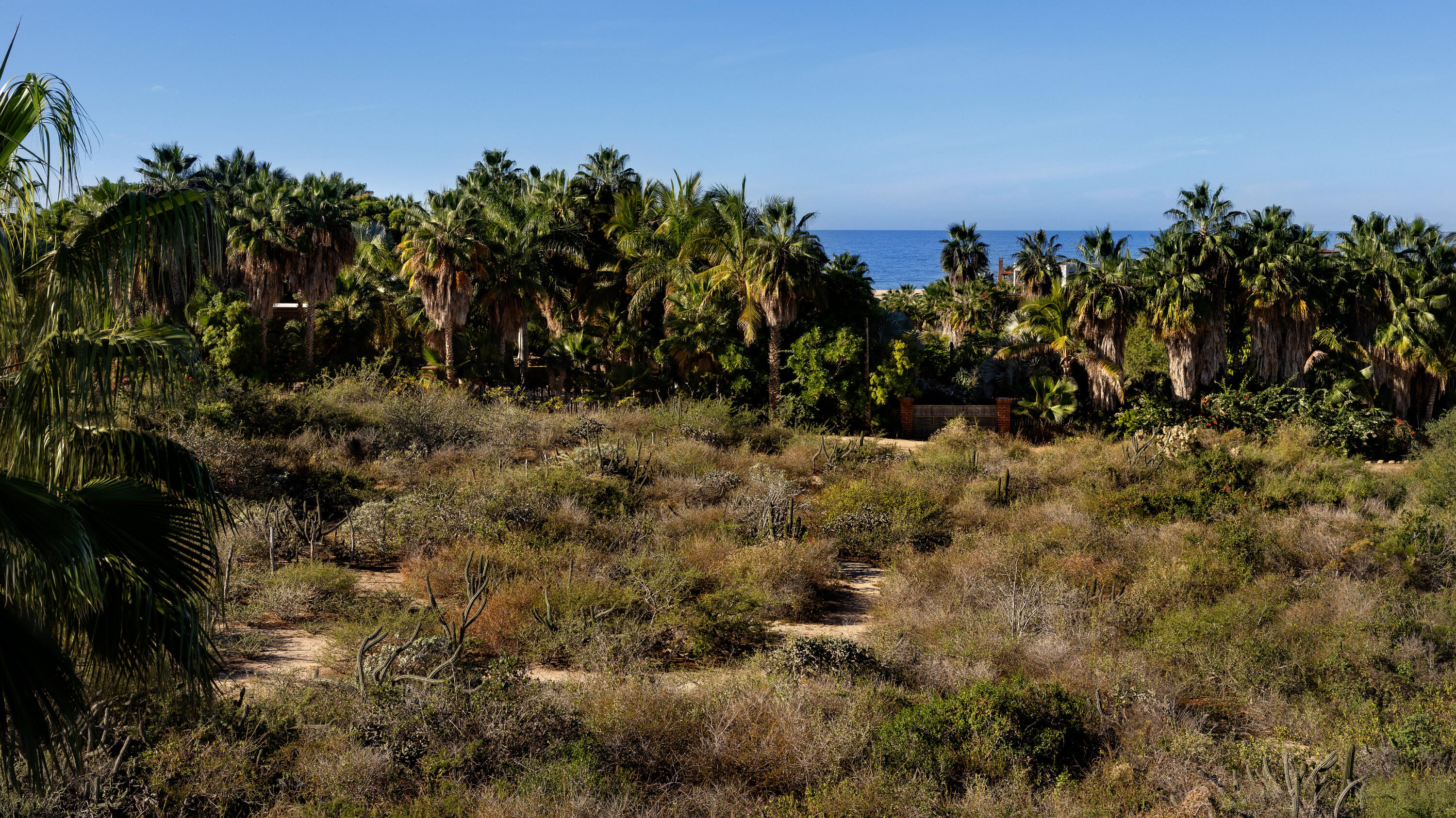 Los Jardines, Hacienda Los Olivos