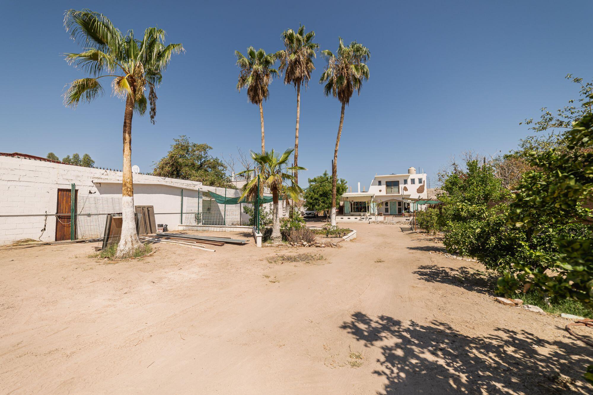 Casa Pericos
