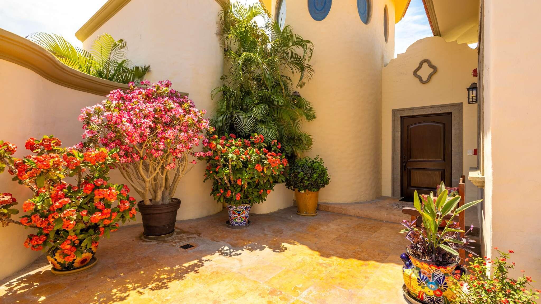 Puerta del Sol, Villa Mariposa