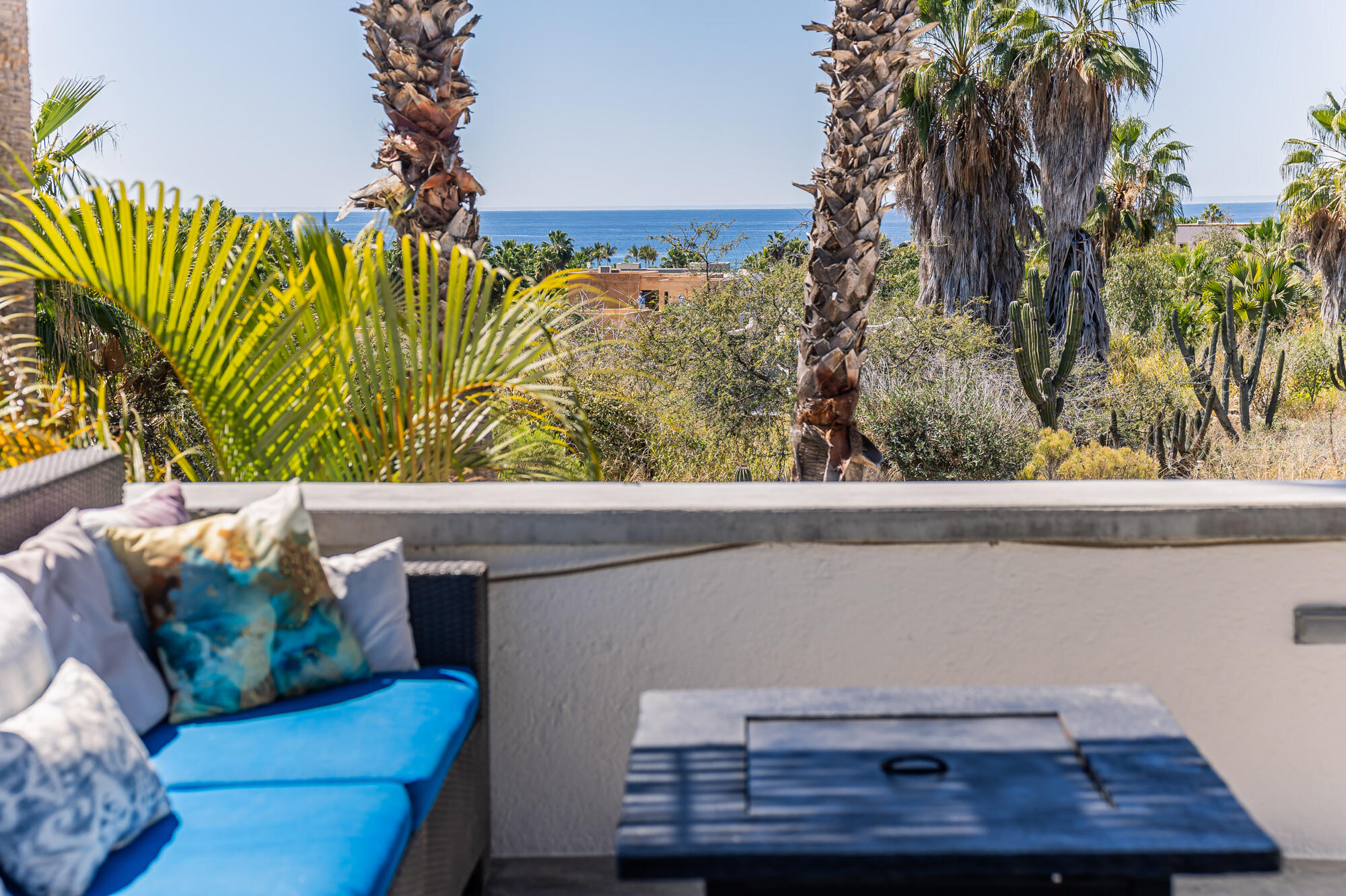 Camino Internacional, Casa Leo