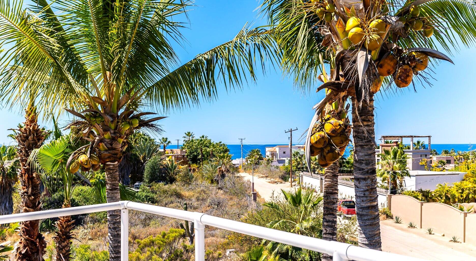 Camino Internacional, Casa Leo