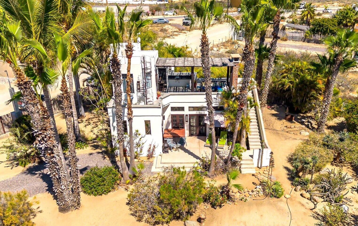 Camino Internacional, Casa Leo