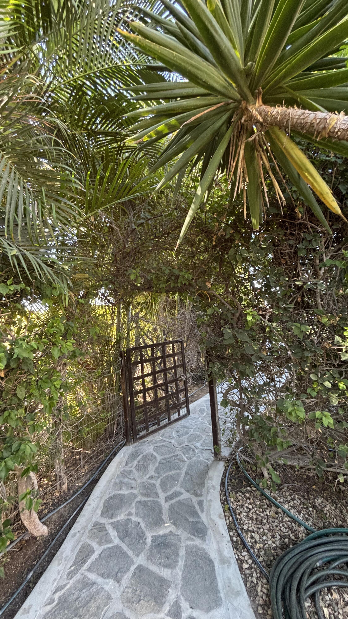 Calle Las Liebres, Casa Margarita