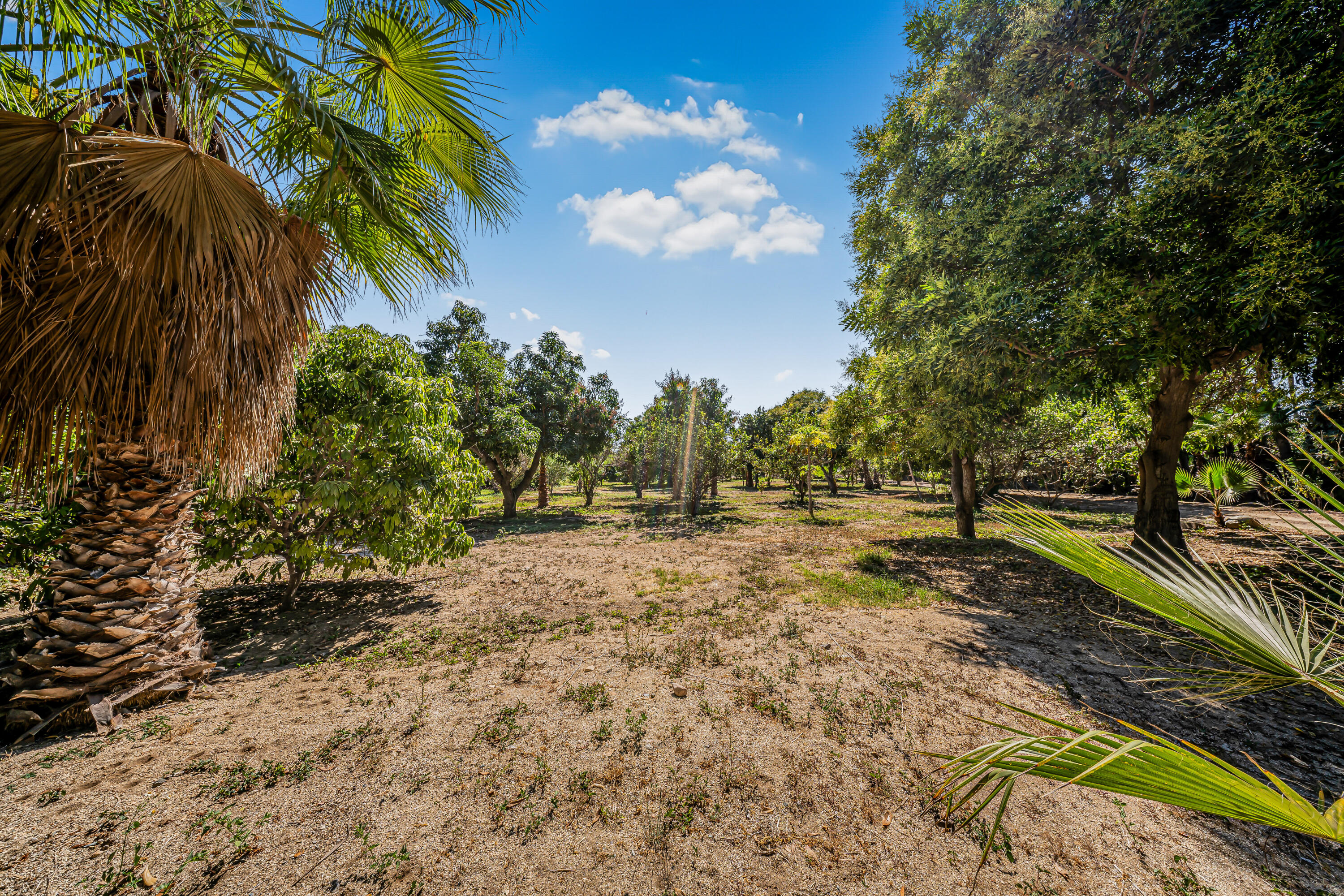 Rancho El Guamuchil