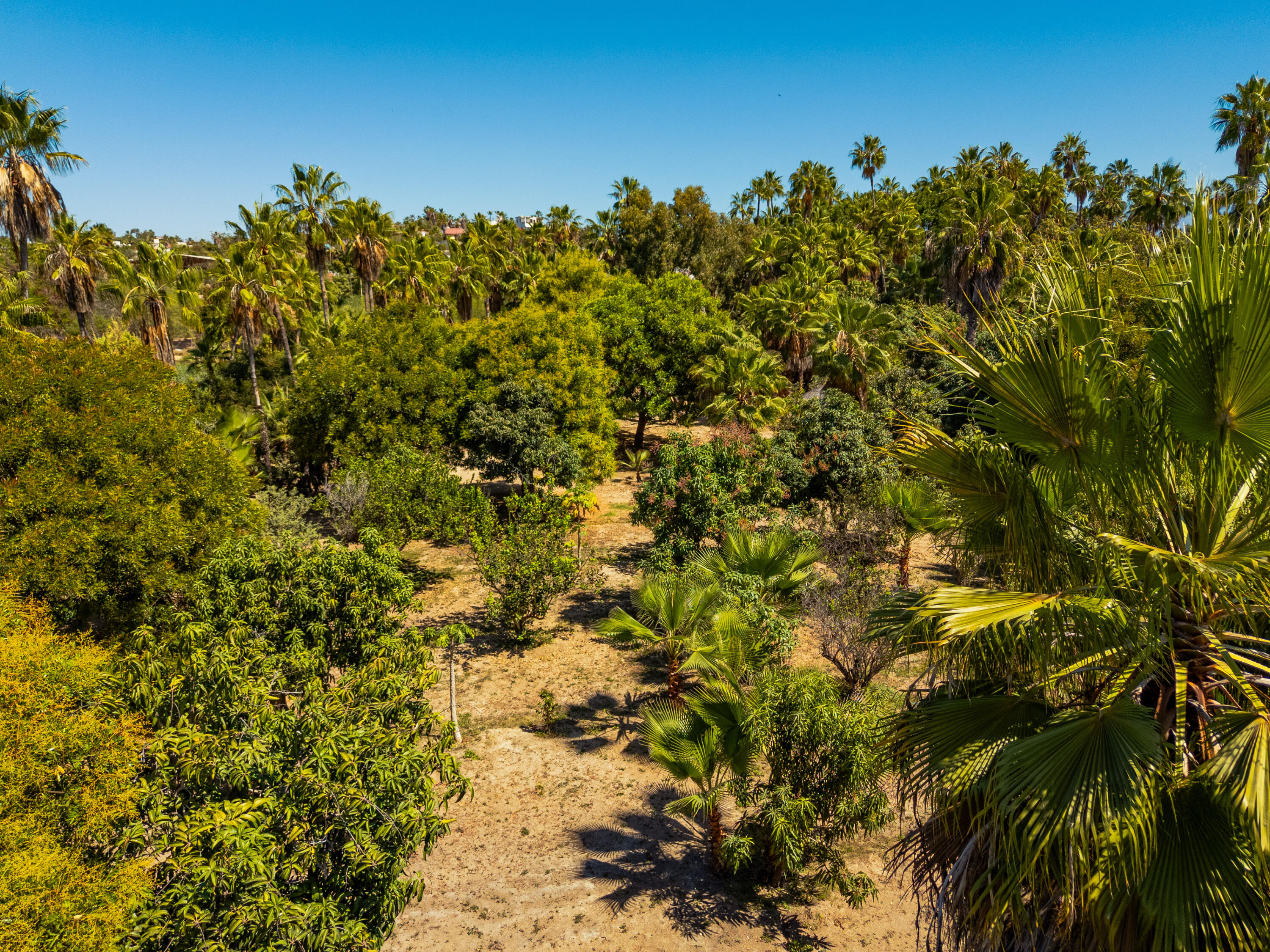 Rancho El Guamuchil