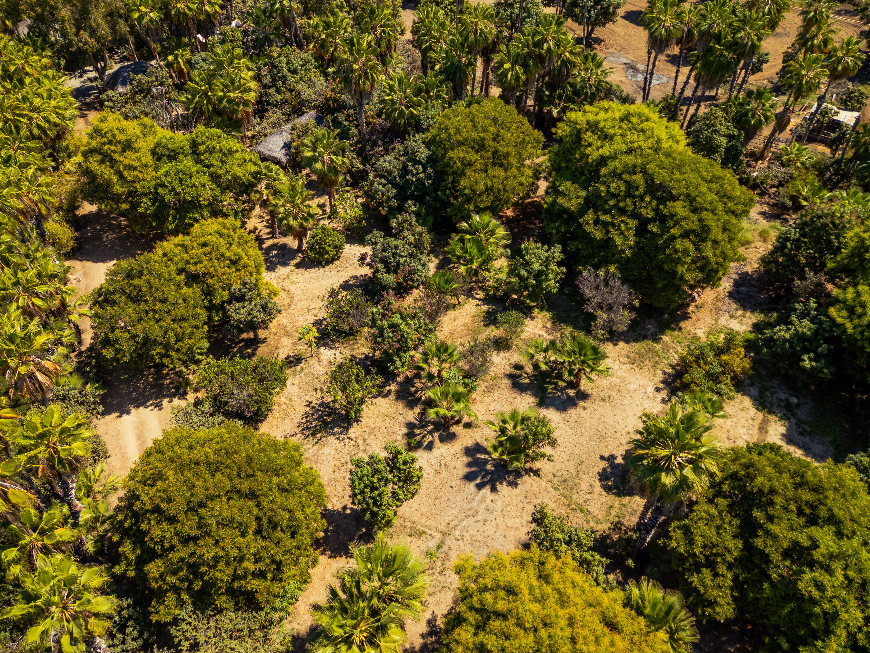 Rancho El Guamuchil