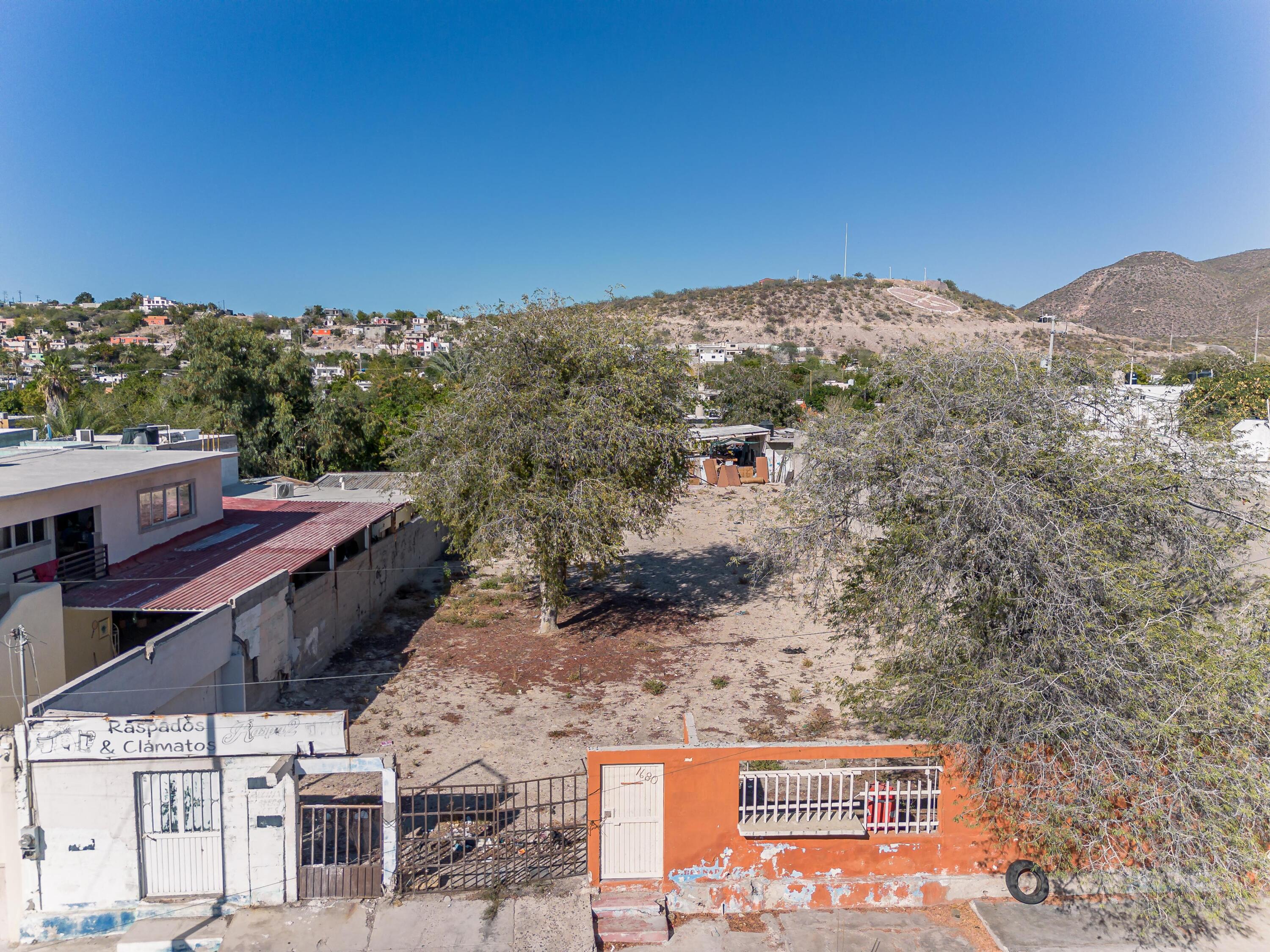 5 de Mayo, Urban Lot 5 de Mayo