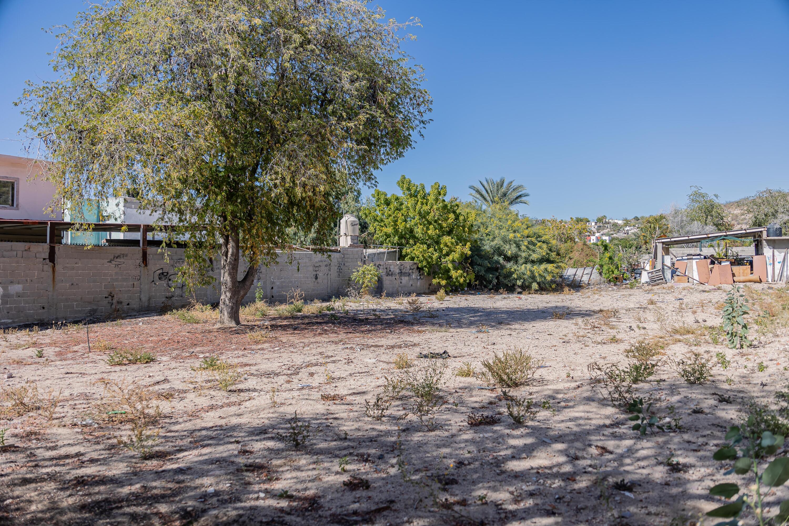 5 de Mayo, Urban Lot 5 de Mayo