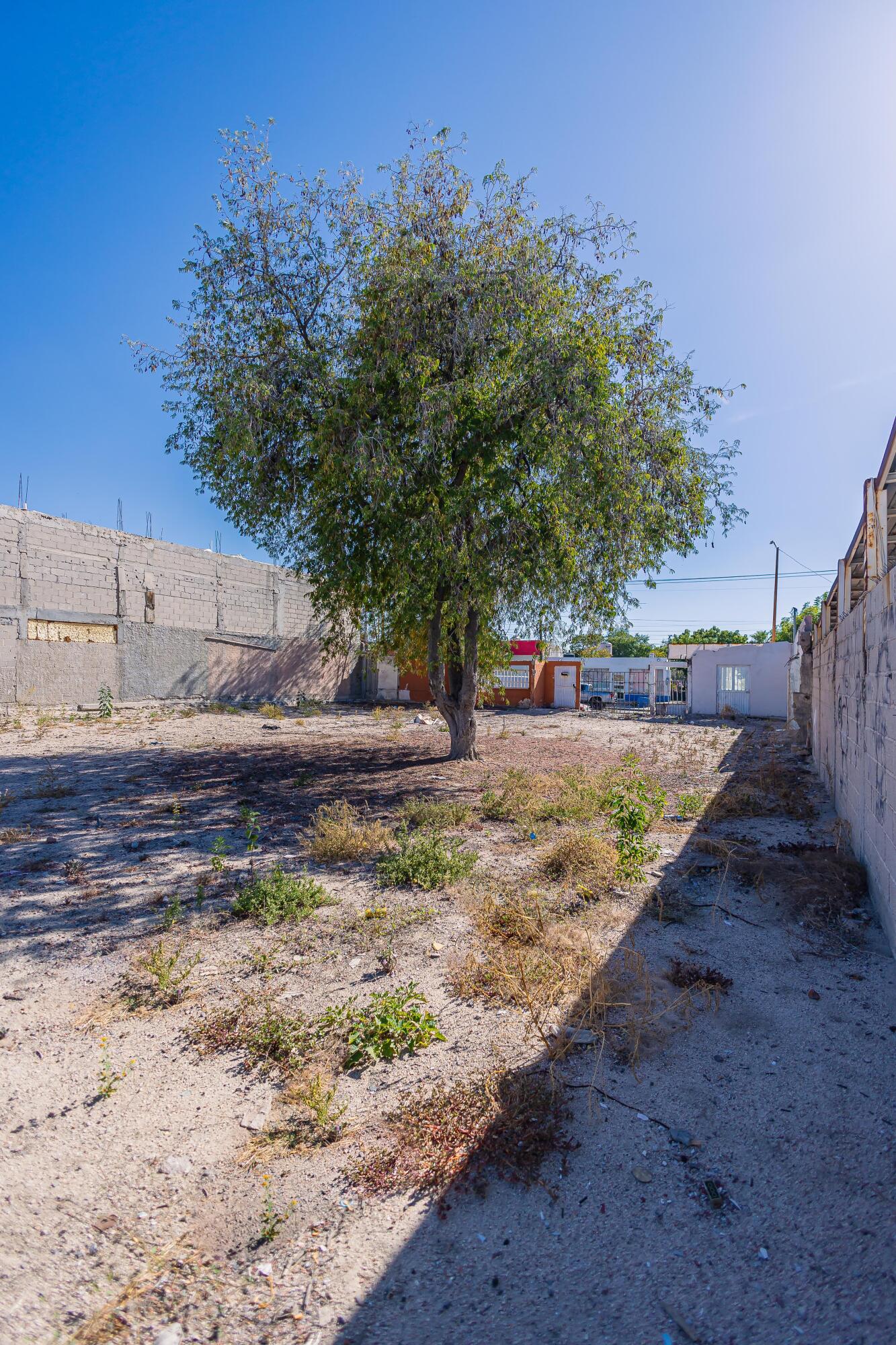 5 de Mayo, Urban Lot 5 de Mayo