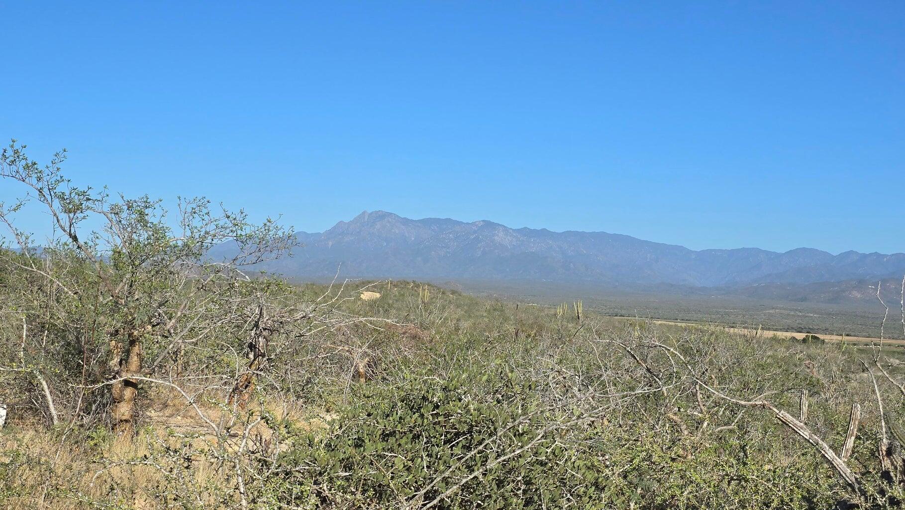 La Tinaja 004, La Tinaja 004