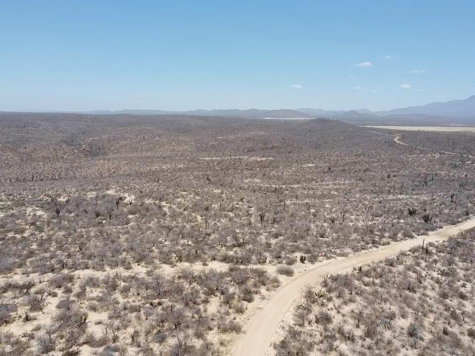 La Tinaja 004, La Tinaja 004