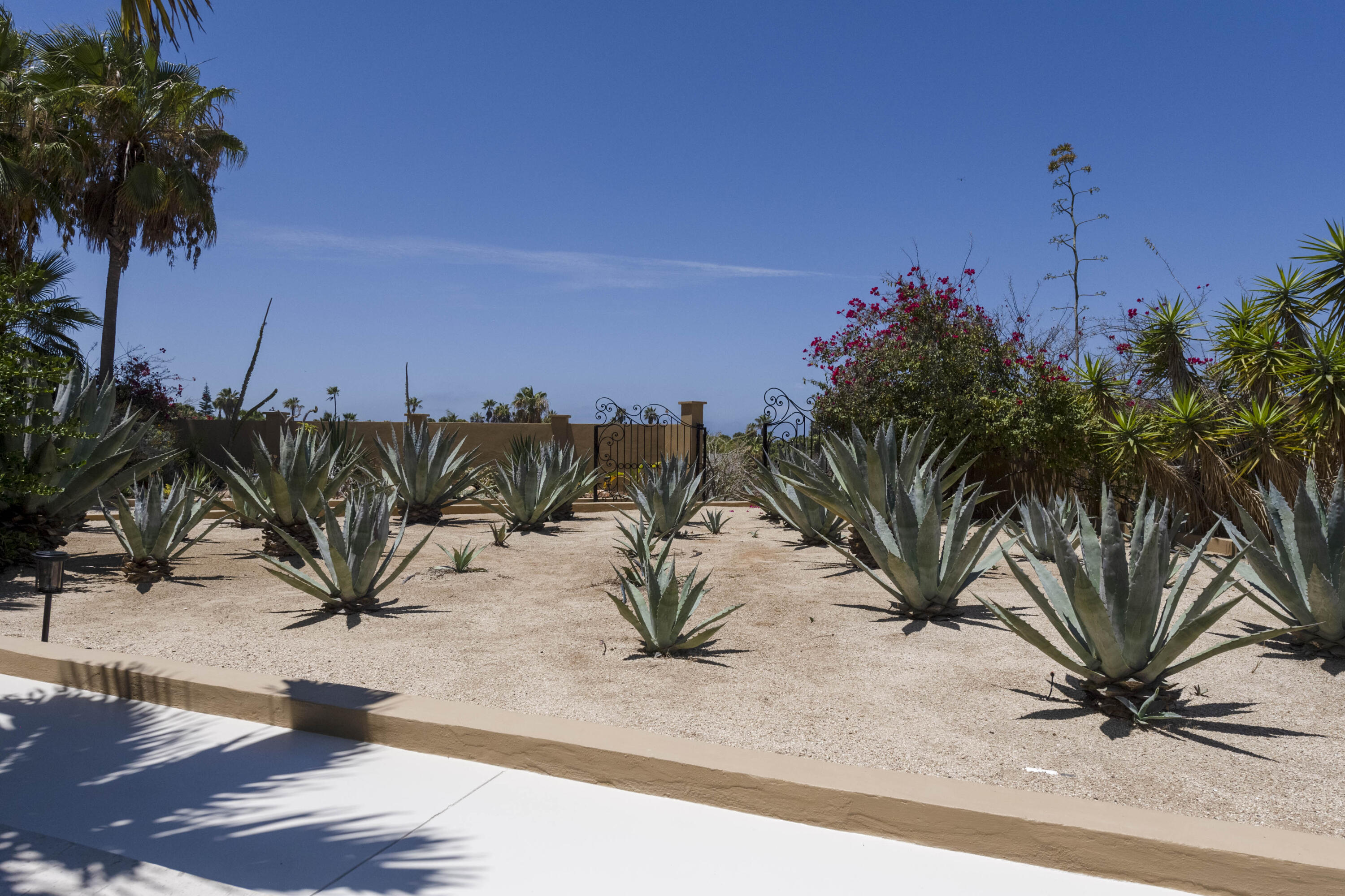 Las Tunas Todos Santos, Casa Agave