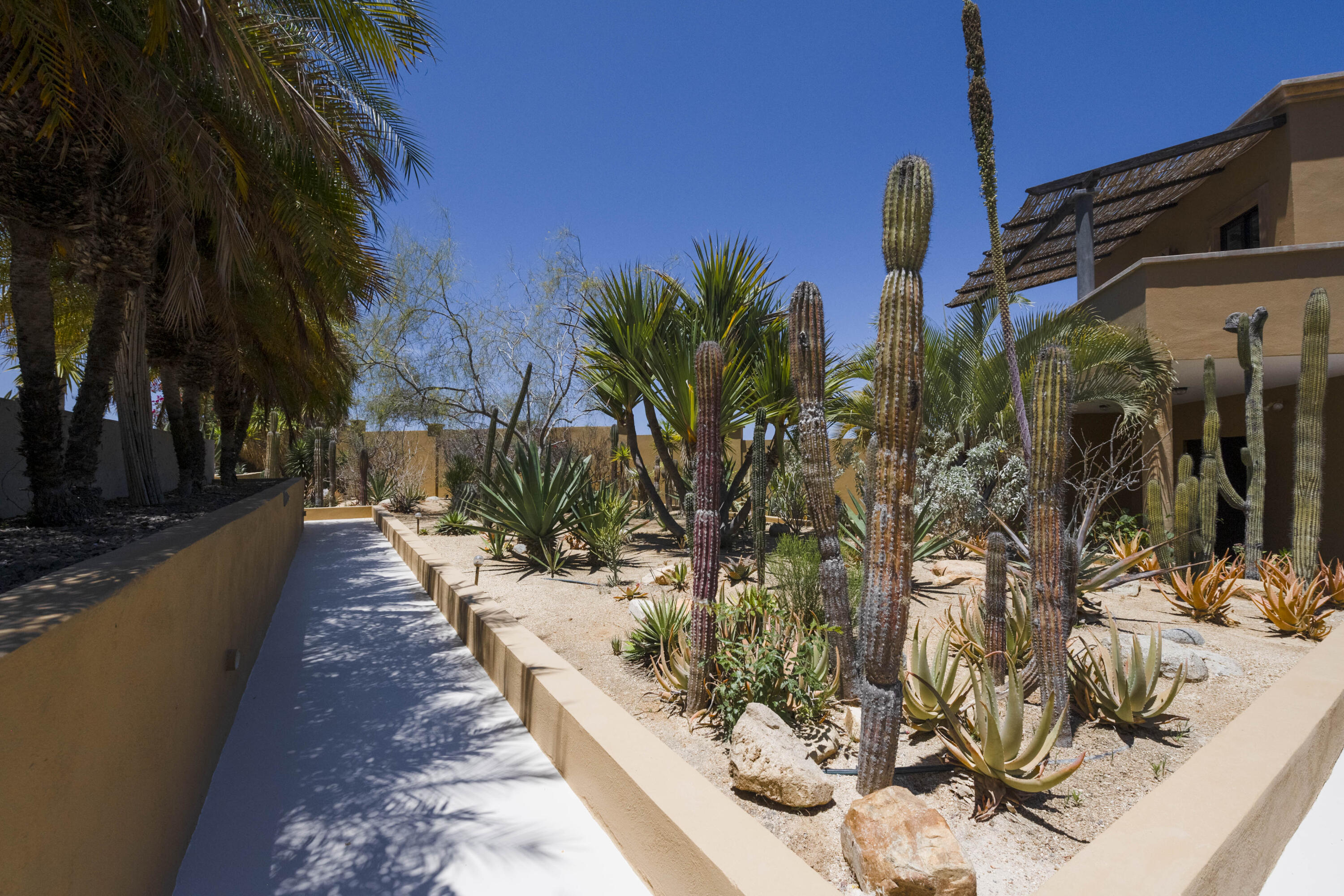 Las Tunas Todos Santos, Casa Agave