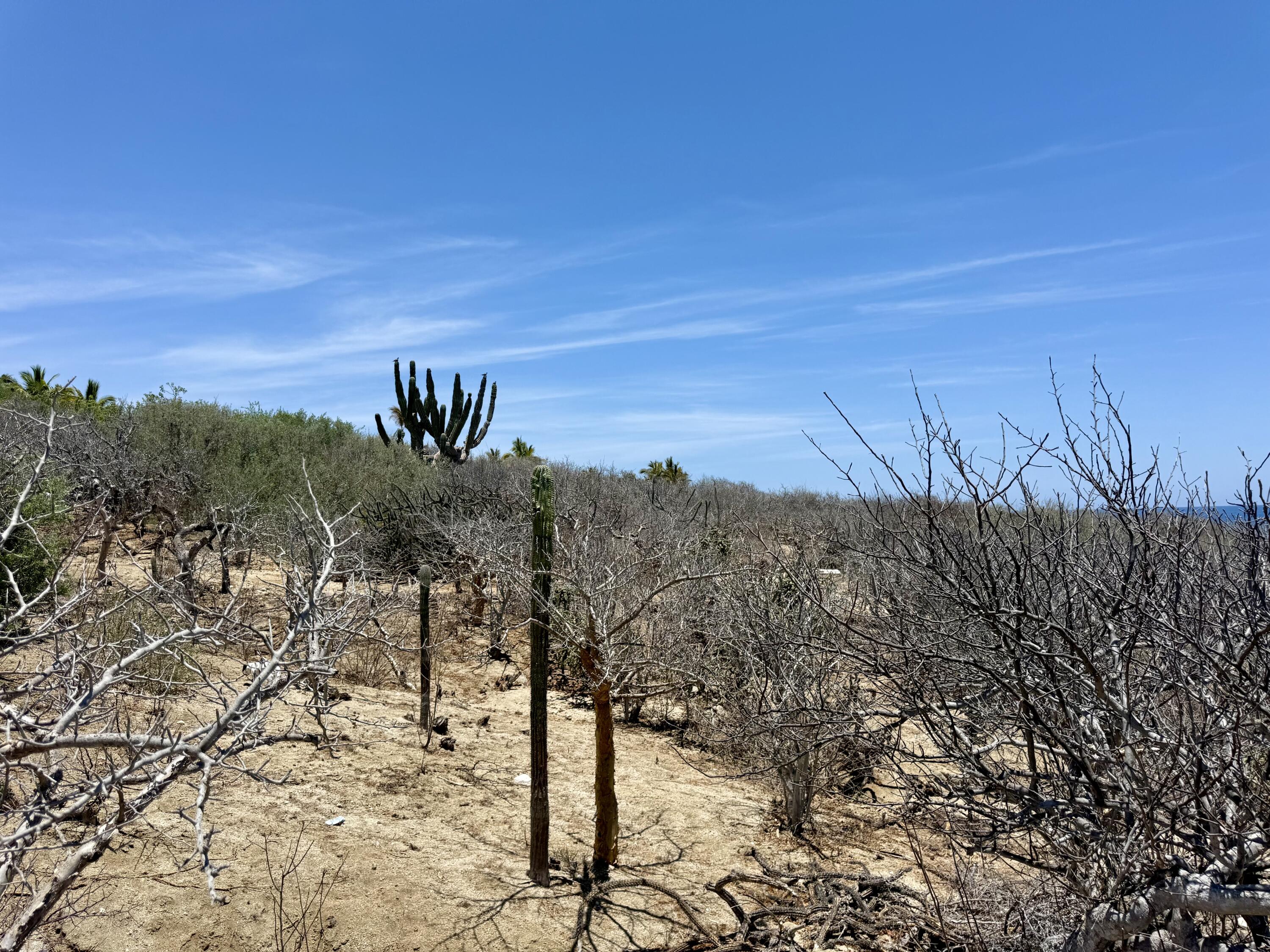 Lote 20 Costa de Oro