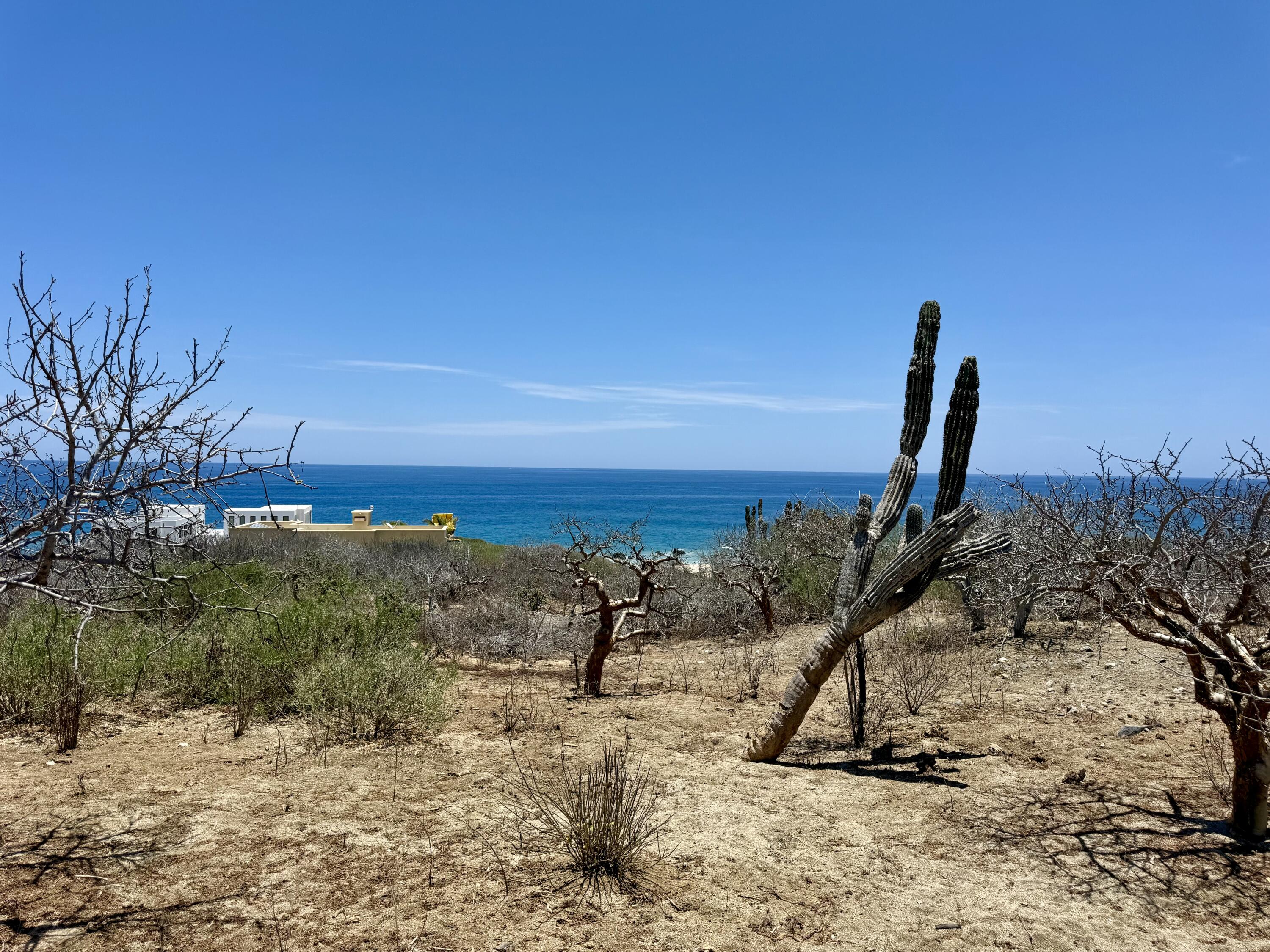 Lote 20 Costa de Oro