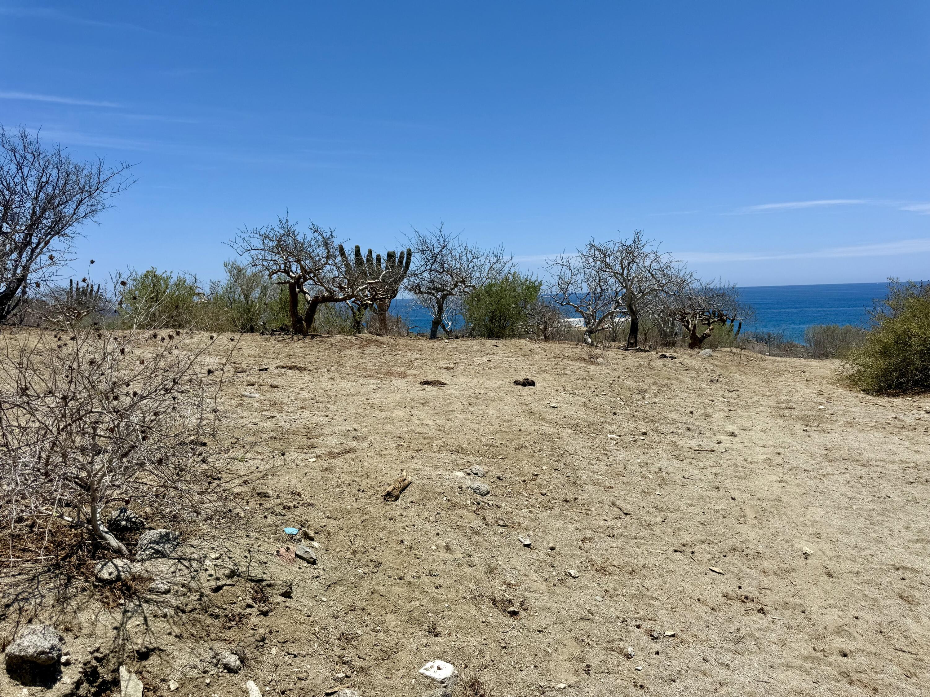 Lote 20 Costa de Oro