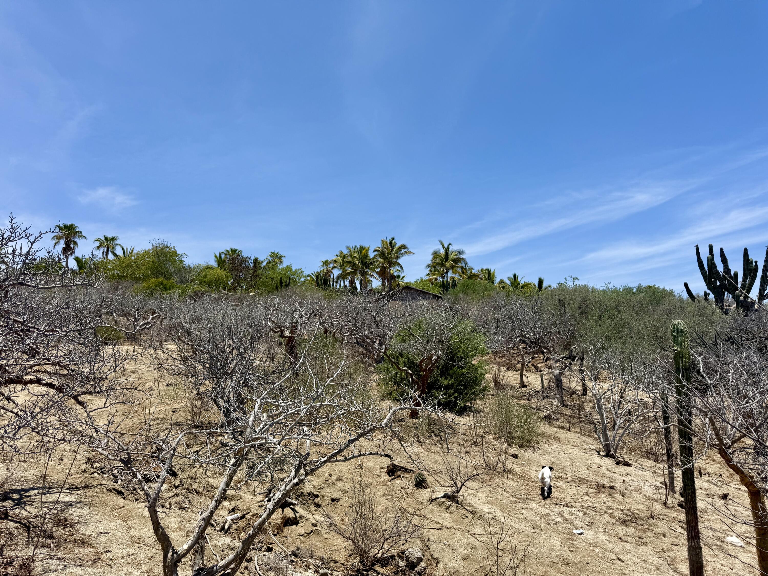 Lote 20 Costa de Oro
