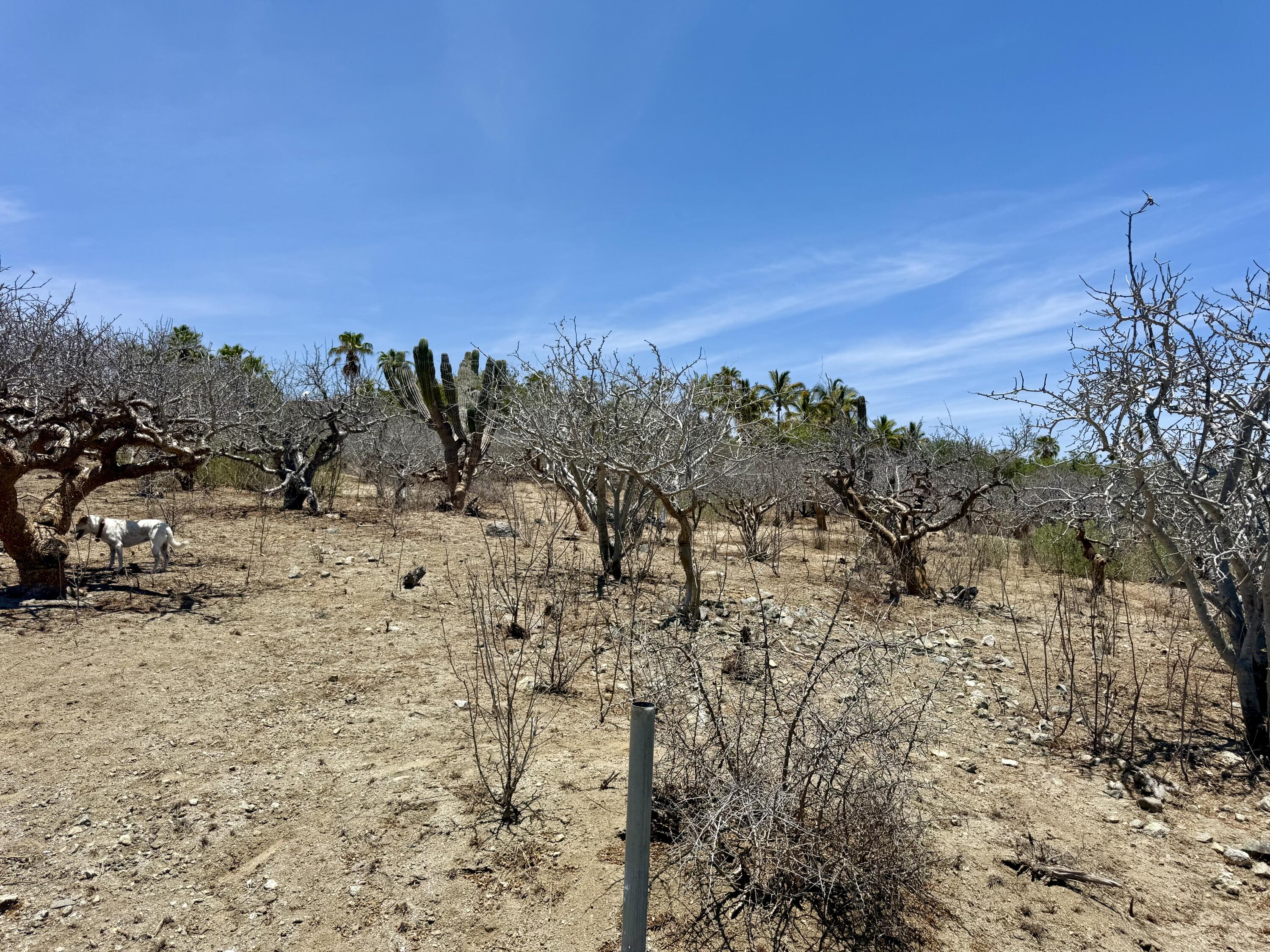 Lote 20 Costa de Oro