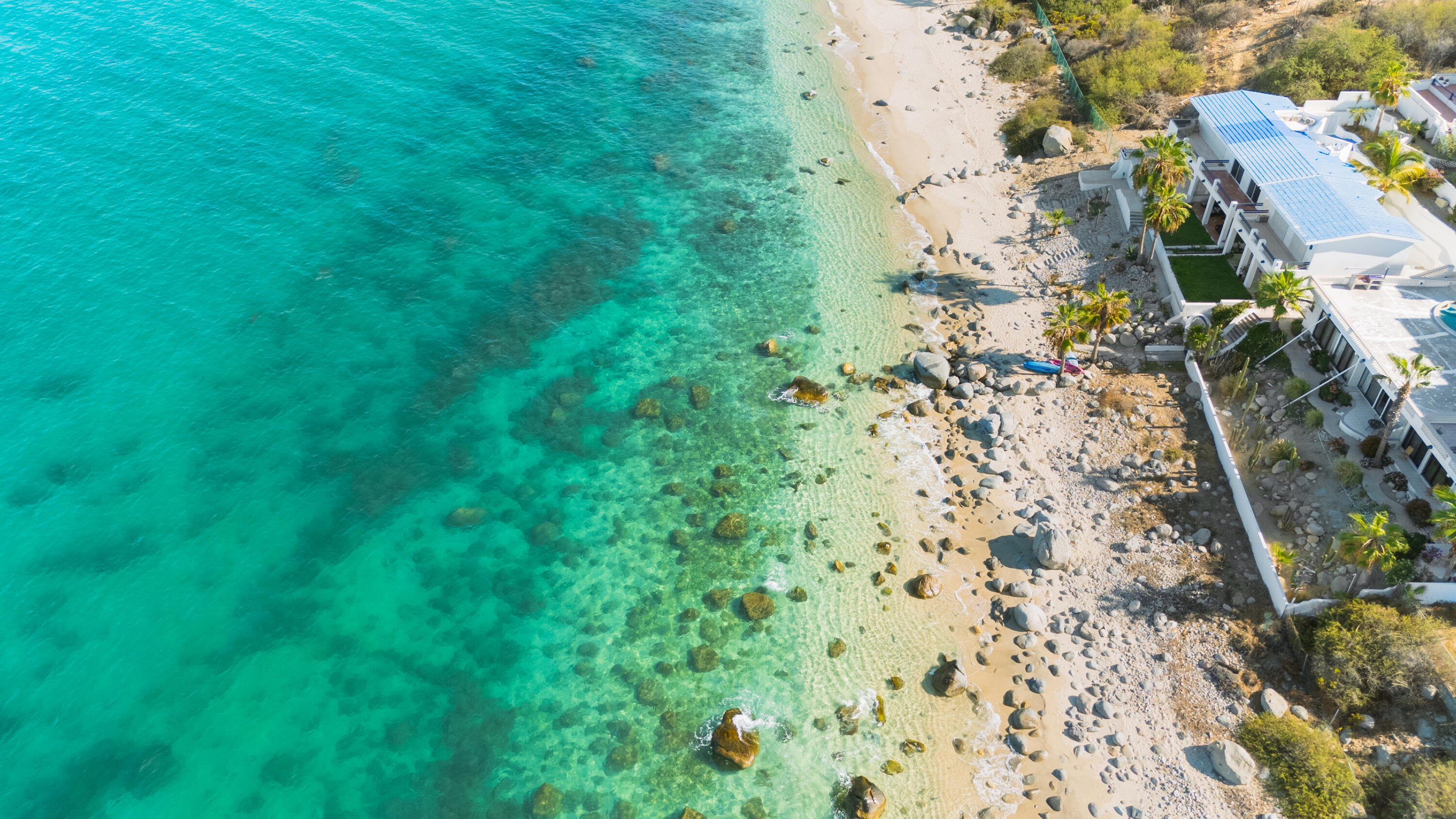 Buenavista Reserve