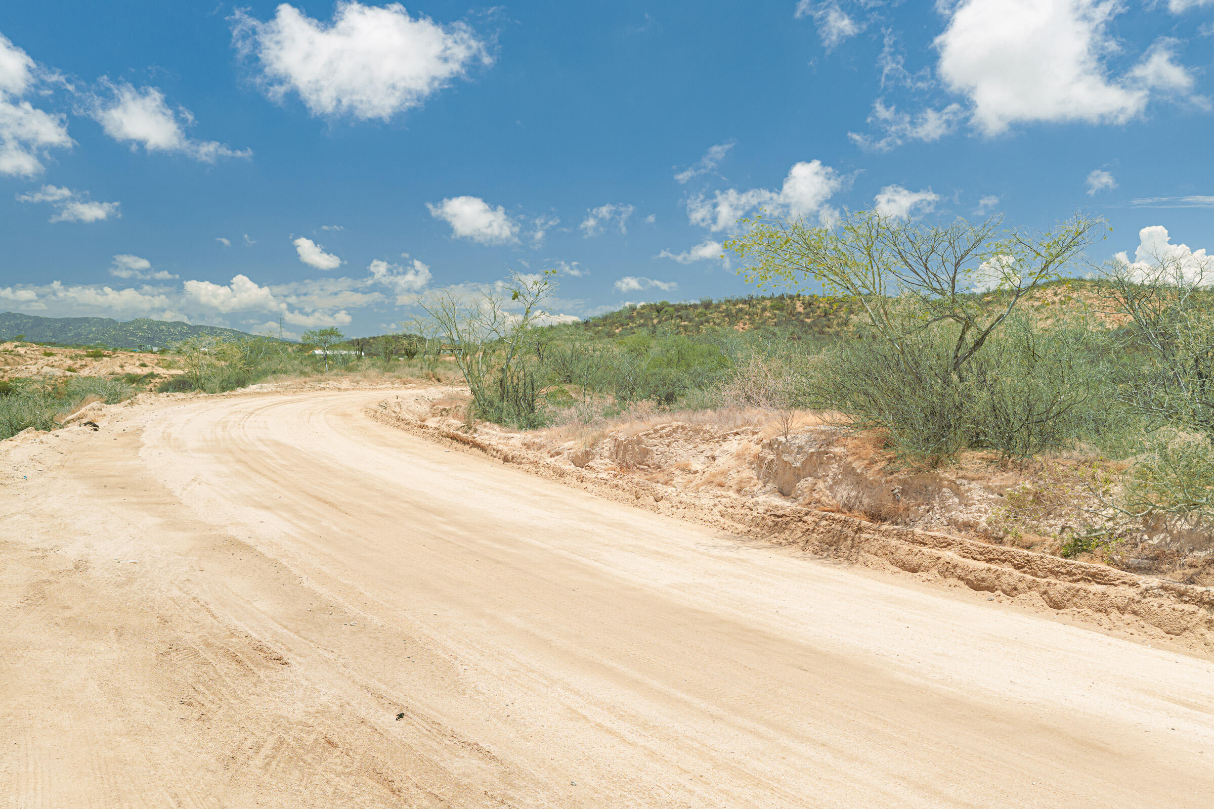 San Jose 1.6 Hectares Parcel