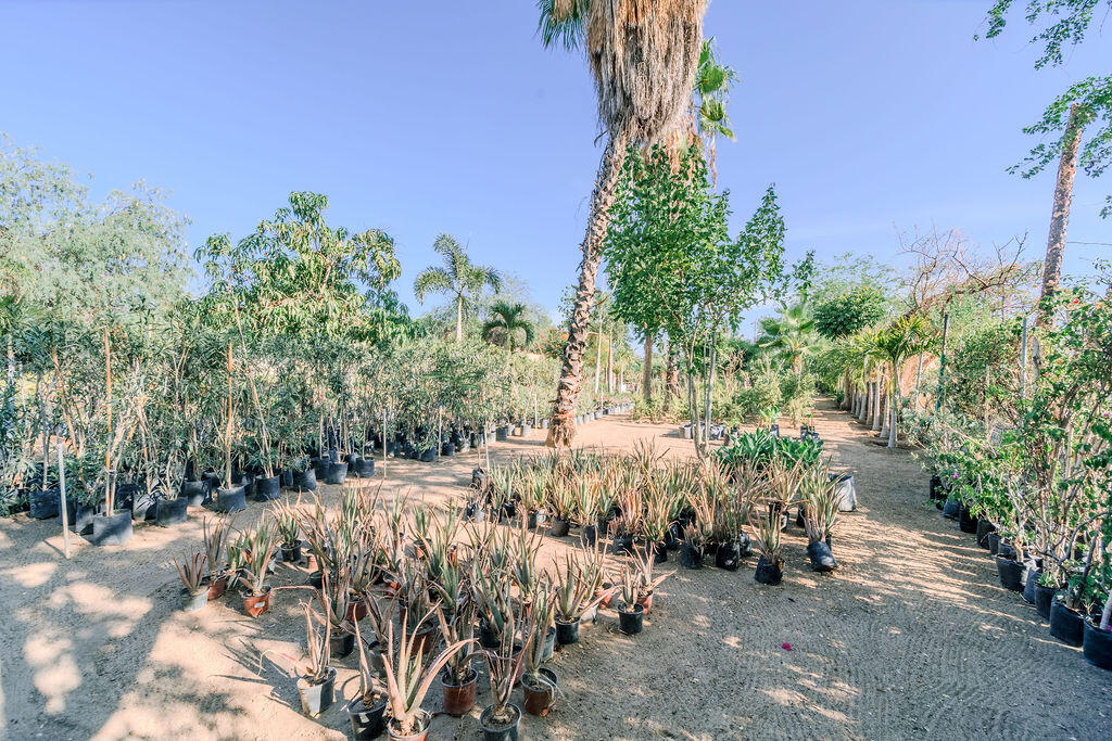 S/N, La Sonoreña Lot (Santa Rosa)