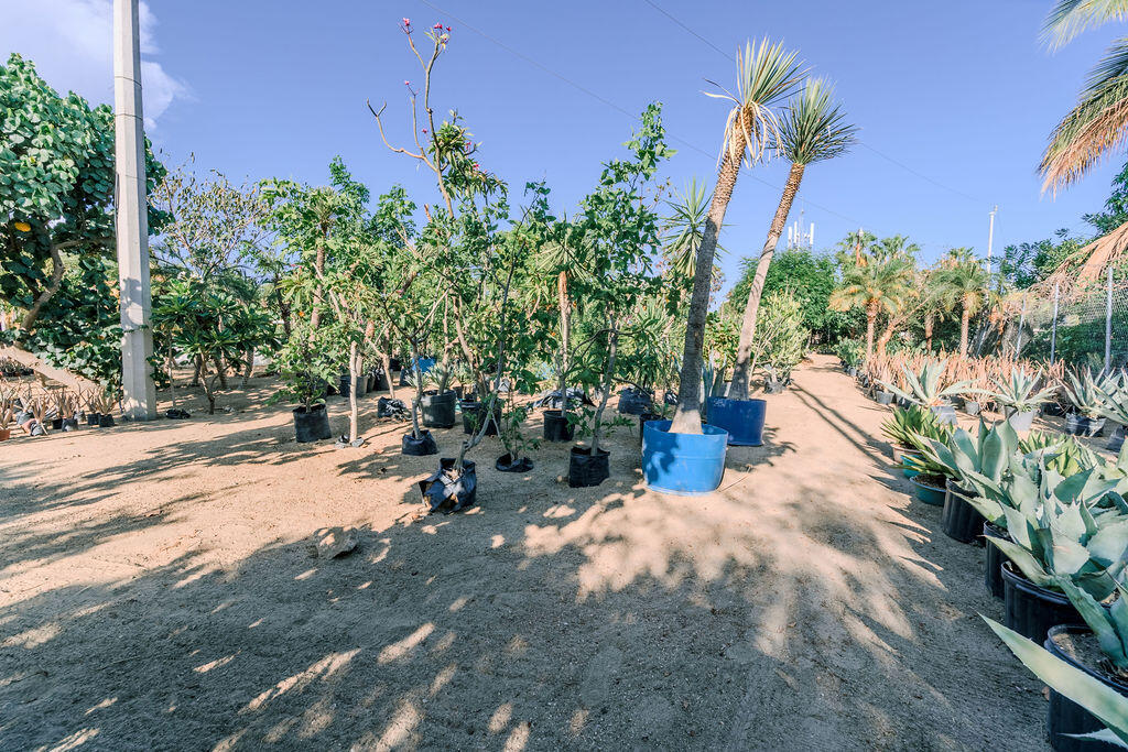S/N, La Sonoreña Lot (Santa Rosa)