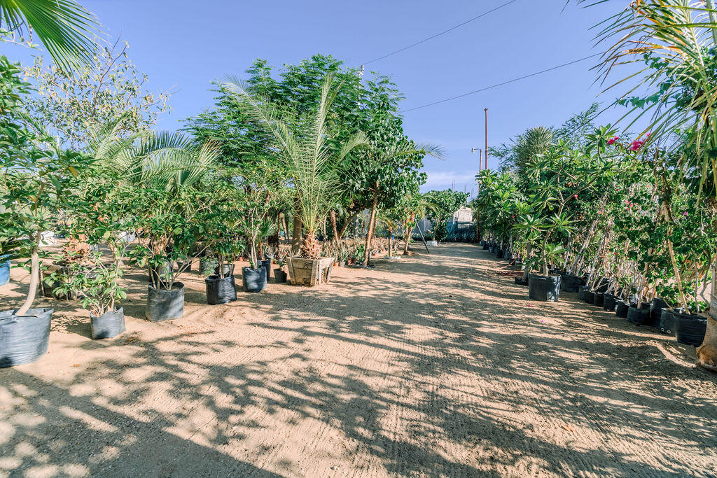 S/N, La Sonoreña Lot (Santa Rosa)