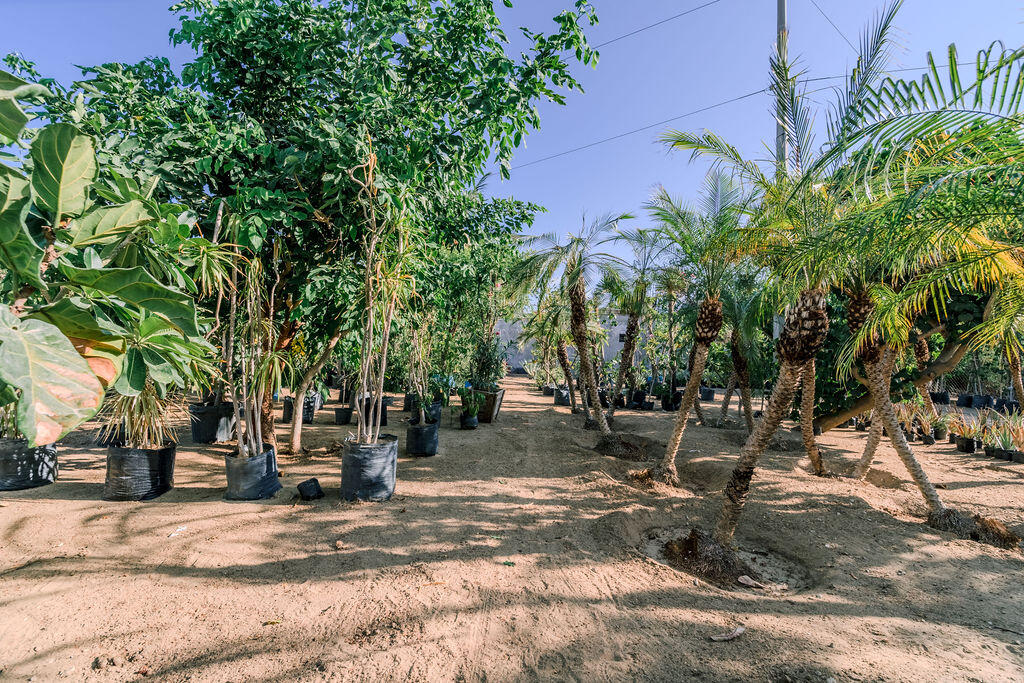 S/N, La Sonoreña Lot (Santa Rosa)