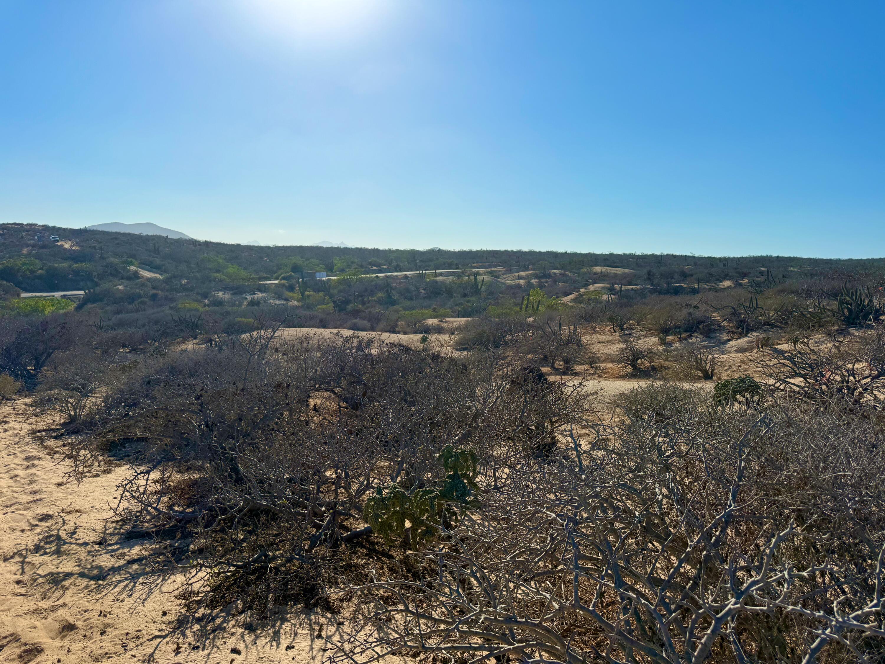 Playa Tortuga Homesite 35