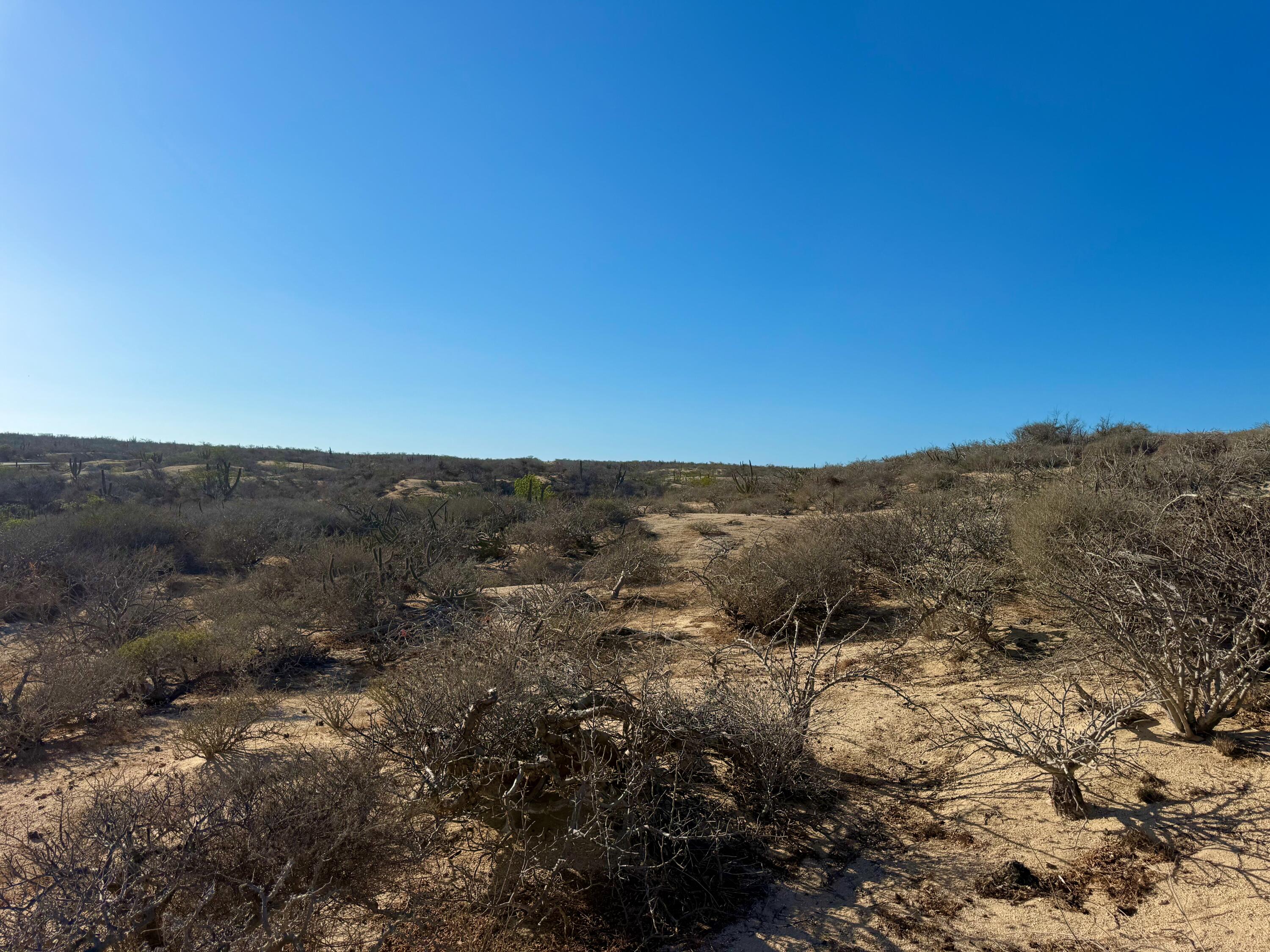 Playa Tortuga Homesite 35