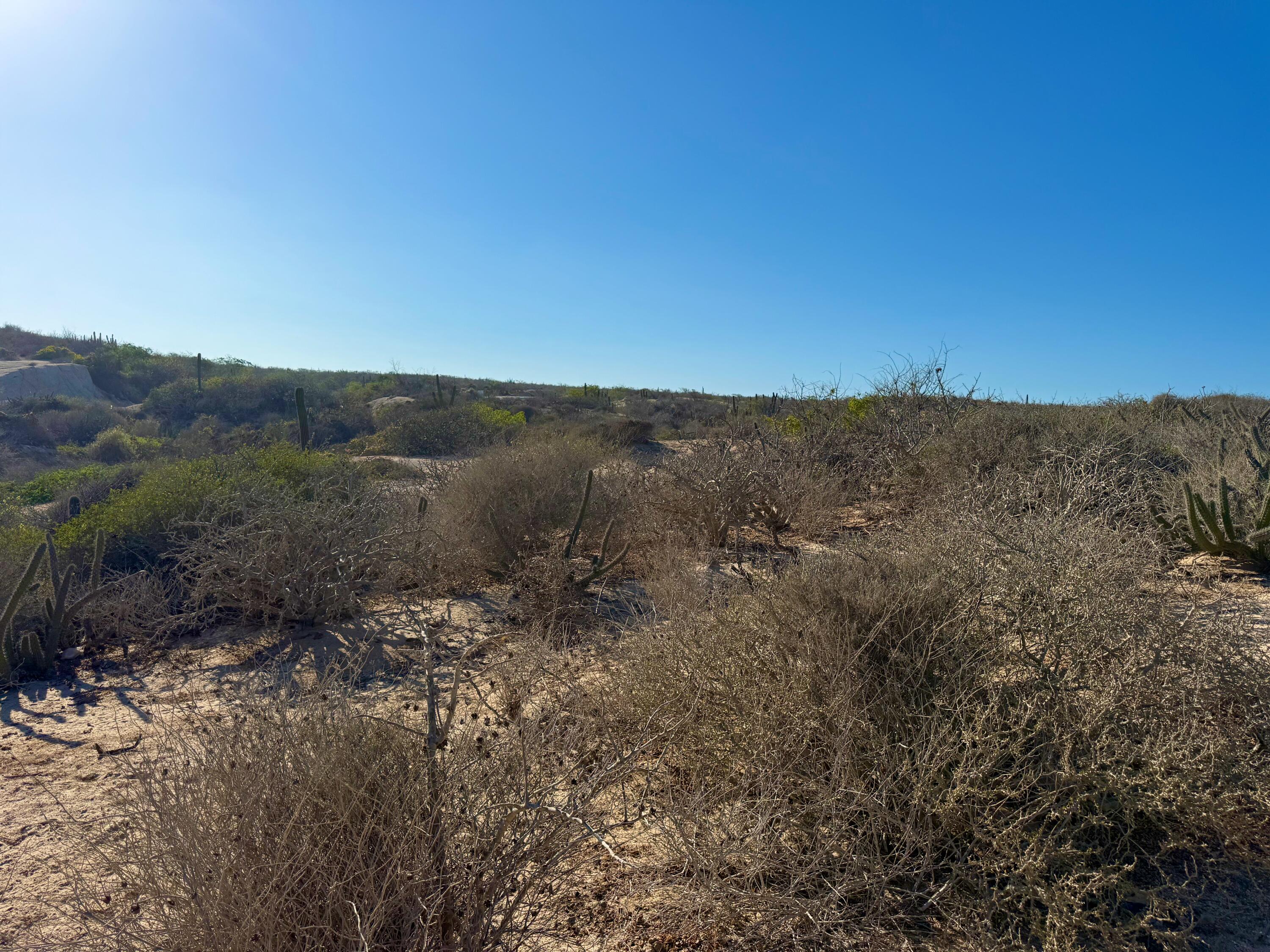 Playa Tortuga Homesite 36/37