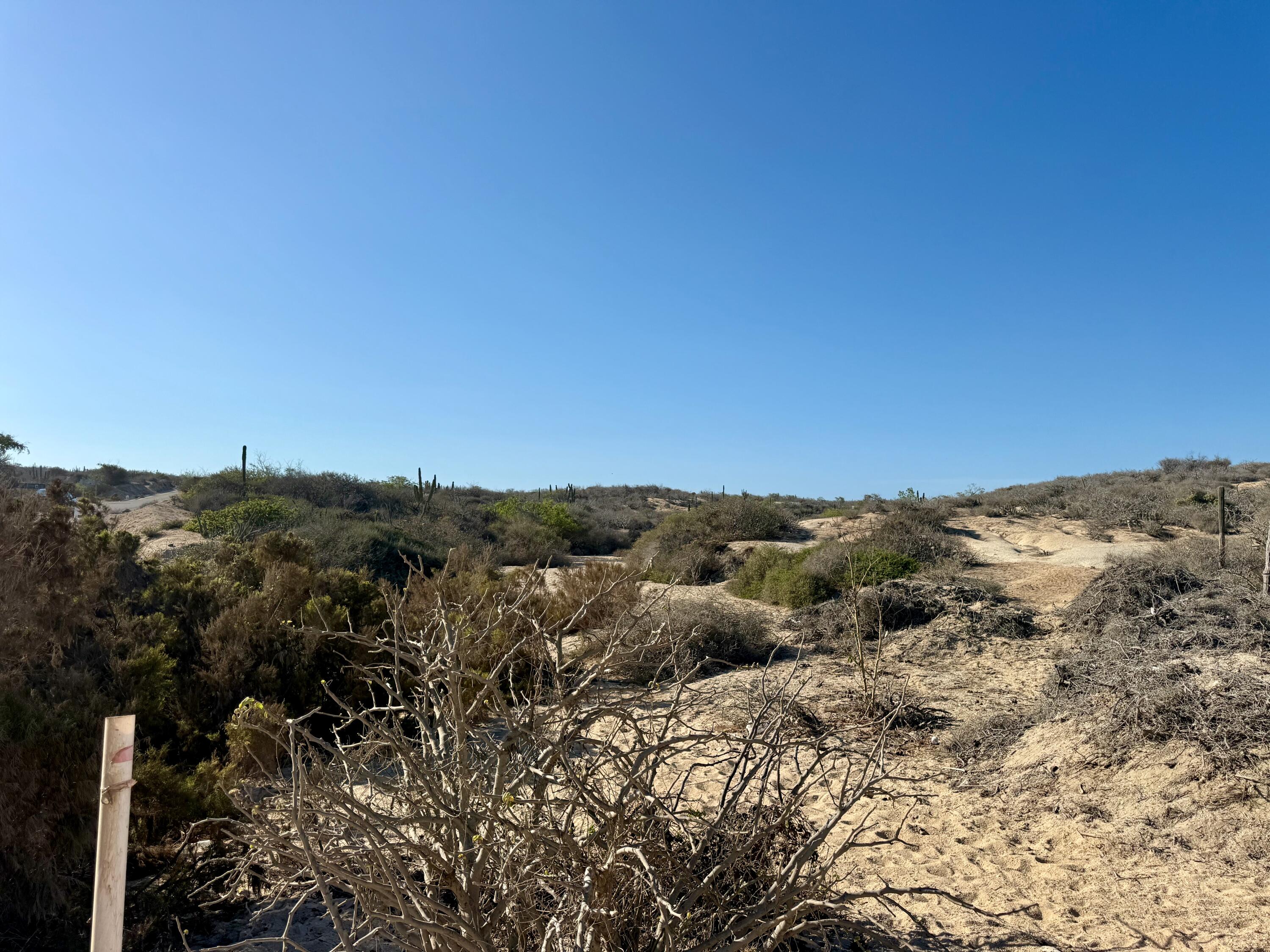 Playa Tortuga Homesite 36/37