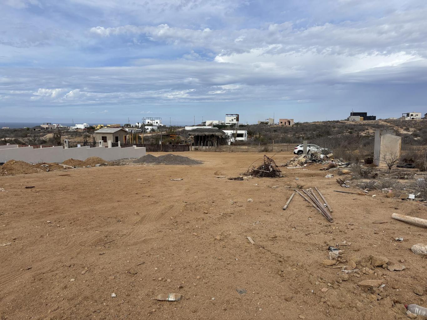 sn sn, Lote Cactus Wren 015