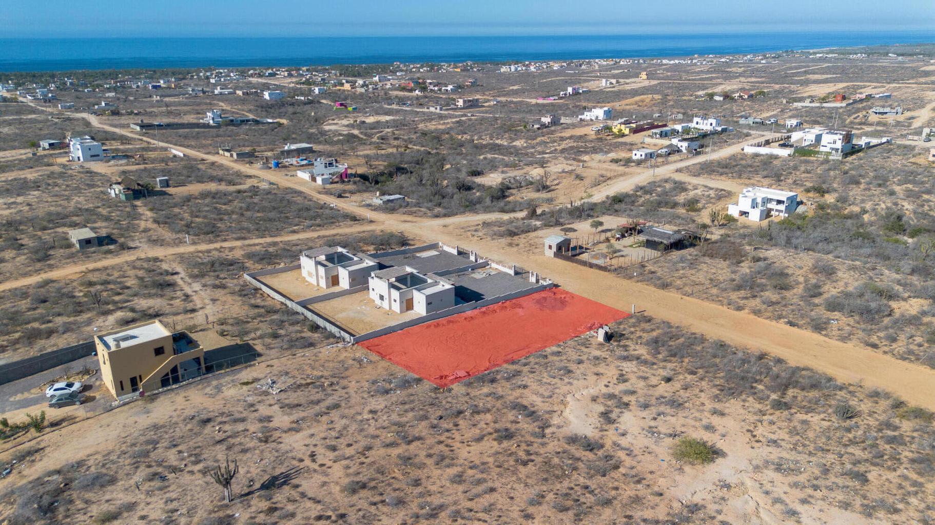 sn sn, Lote Cactus Wren 015