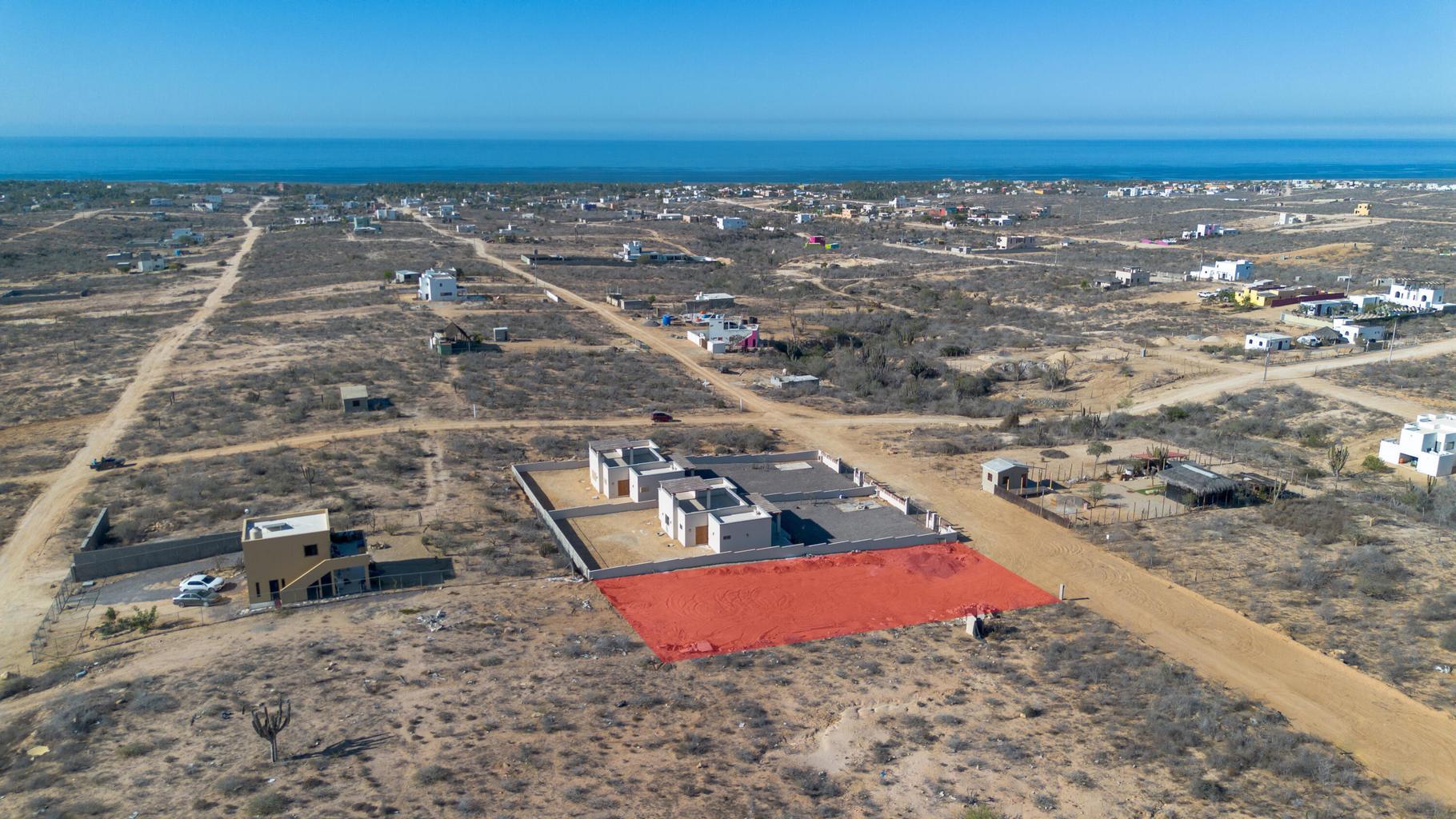 sn sn, Lote Cactus Wren 015