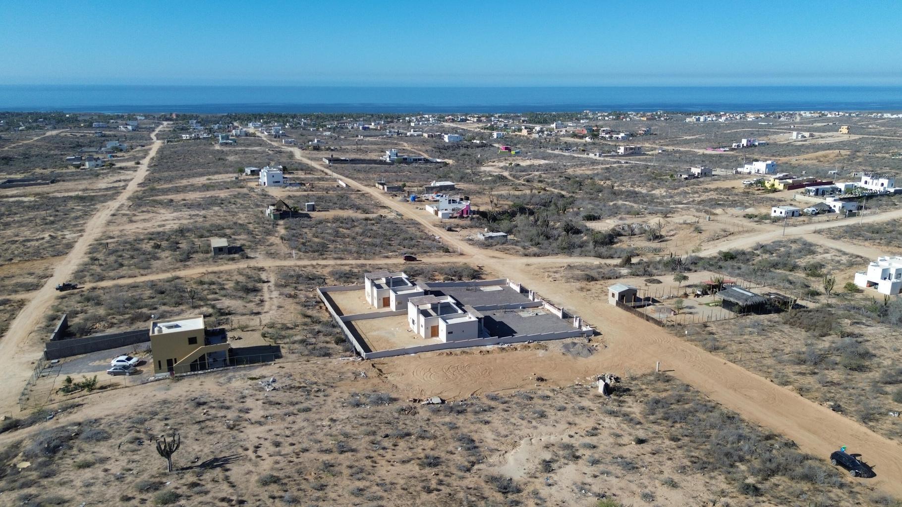 sn sn, Lote Cactus Wren 015