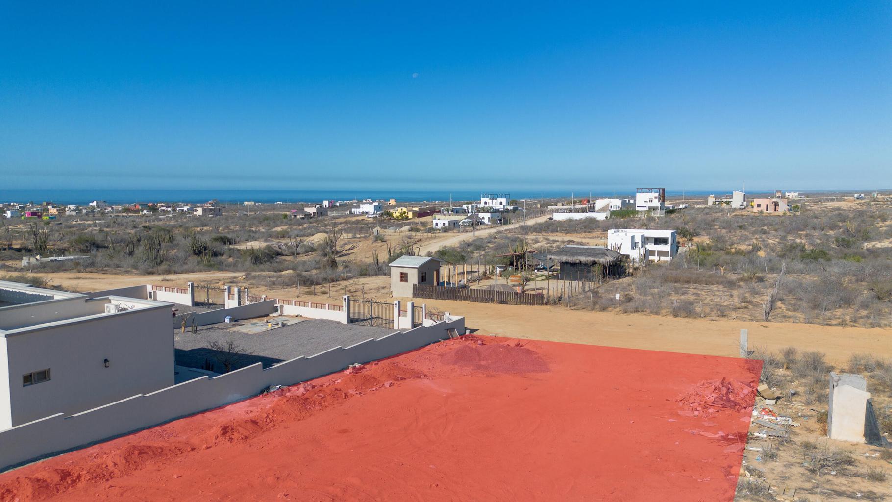 sn sn, Lote Cactus Wren 015