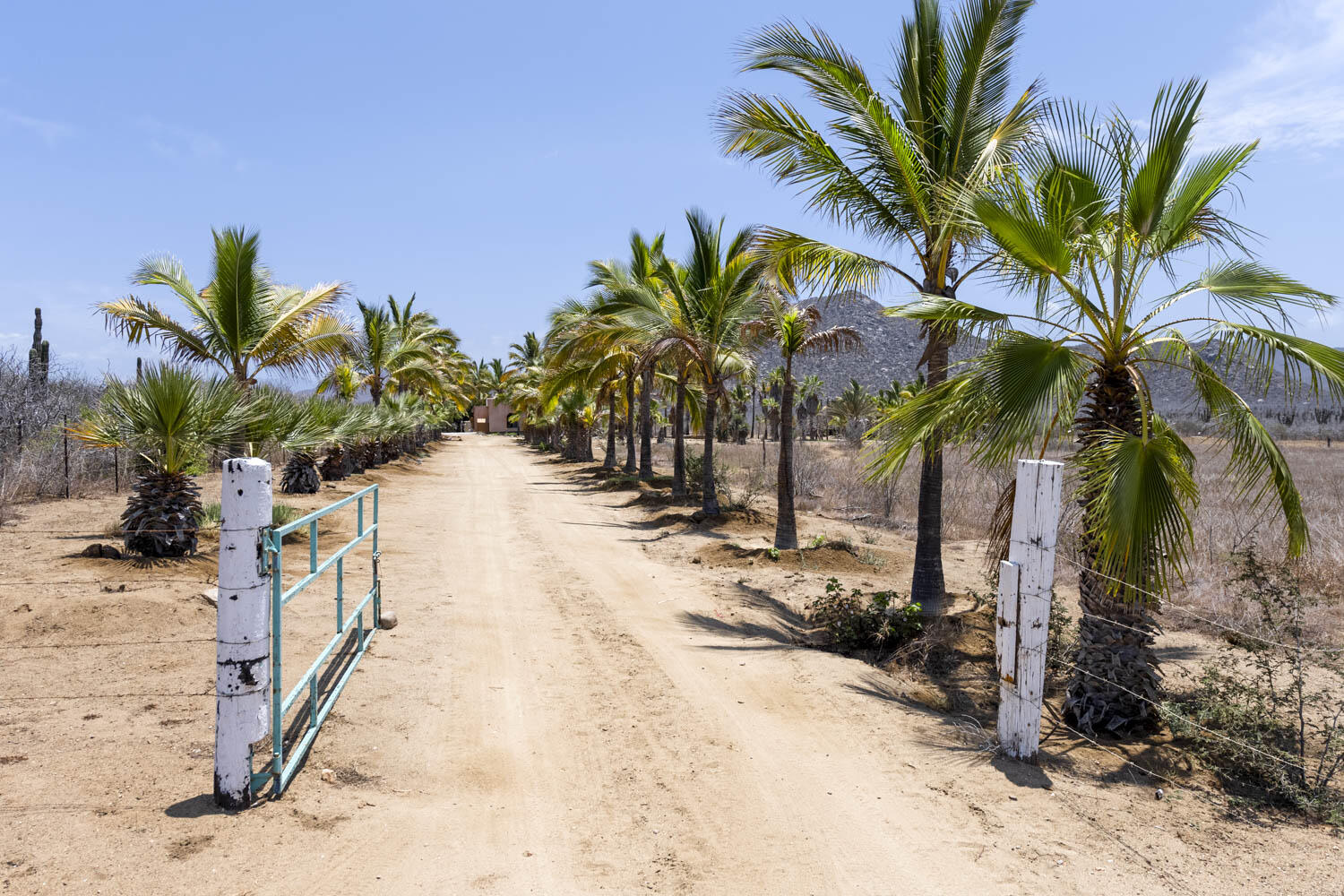 Rancho Alma Pacifica, Cerritos Beach