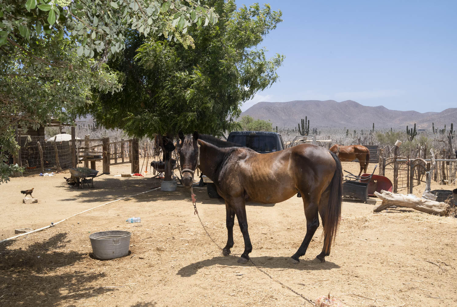 Rancho Alma Pacifica, Cerritos Beach