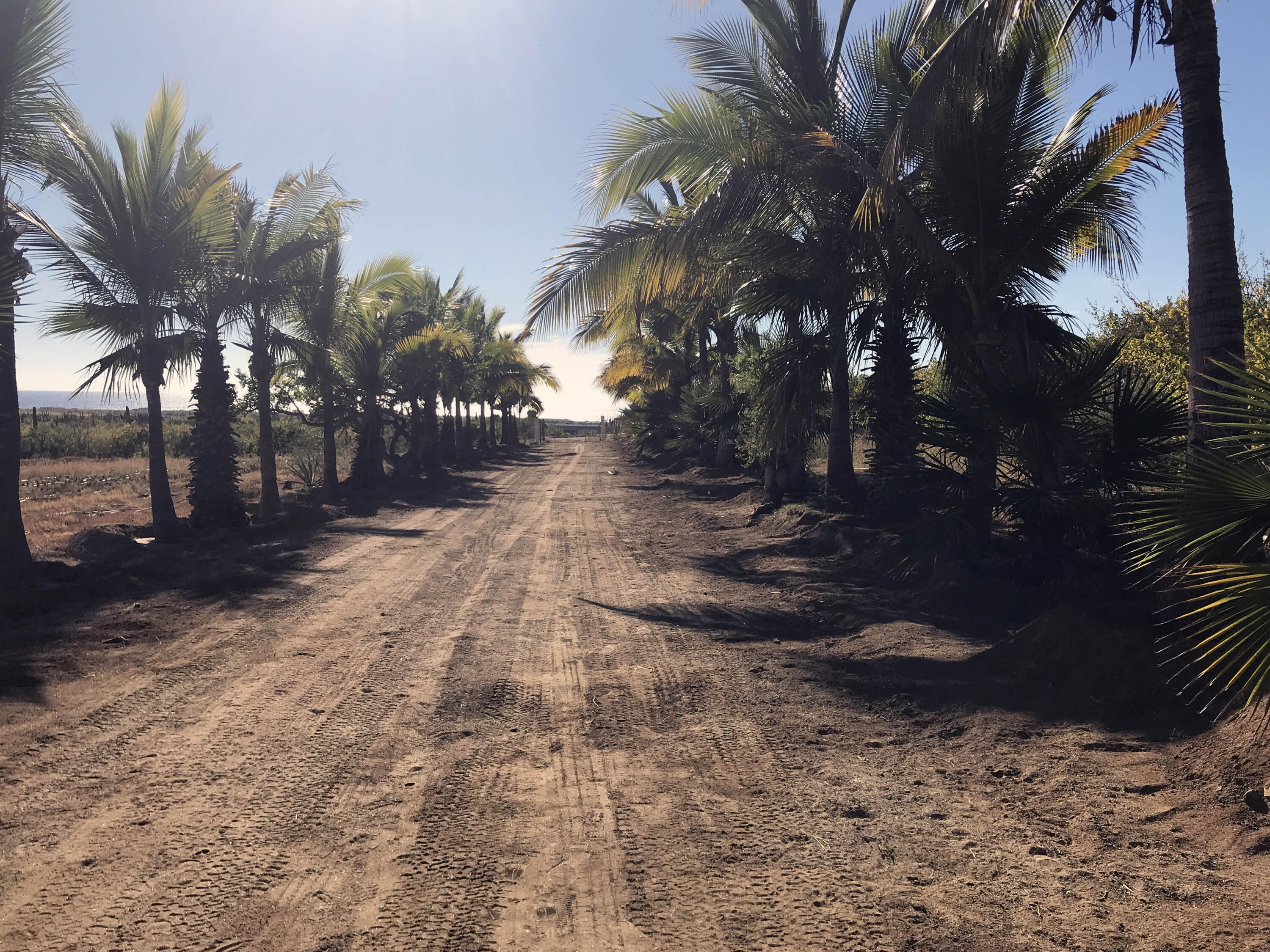 Rancho Alma Pacifica, Cerritos Beach