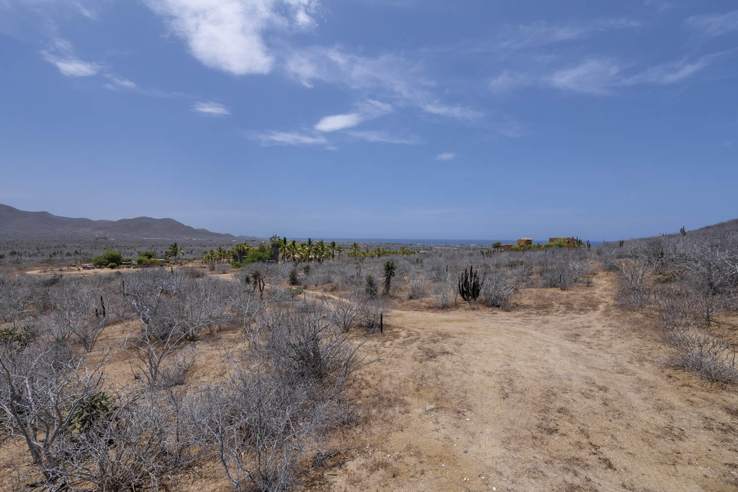 Rancho Alma Pacifica, Cerritos Beach