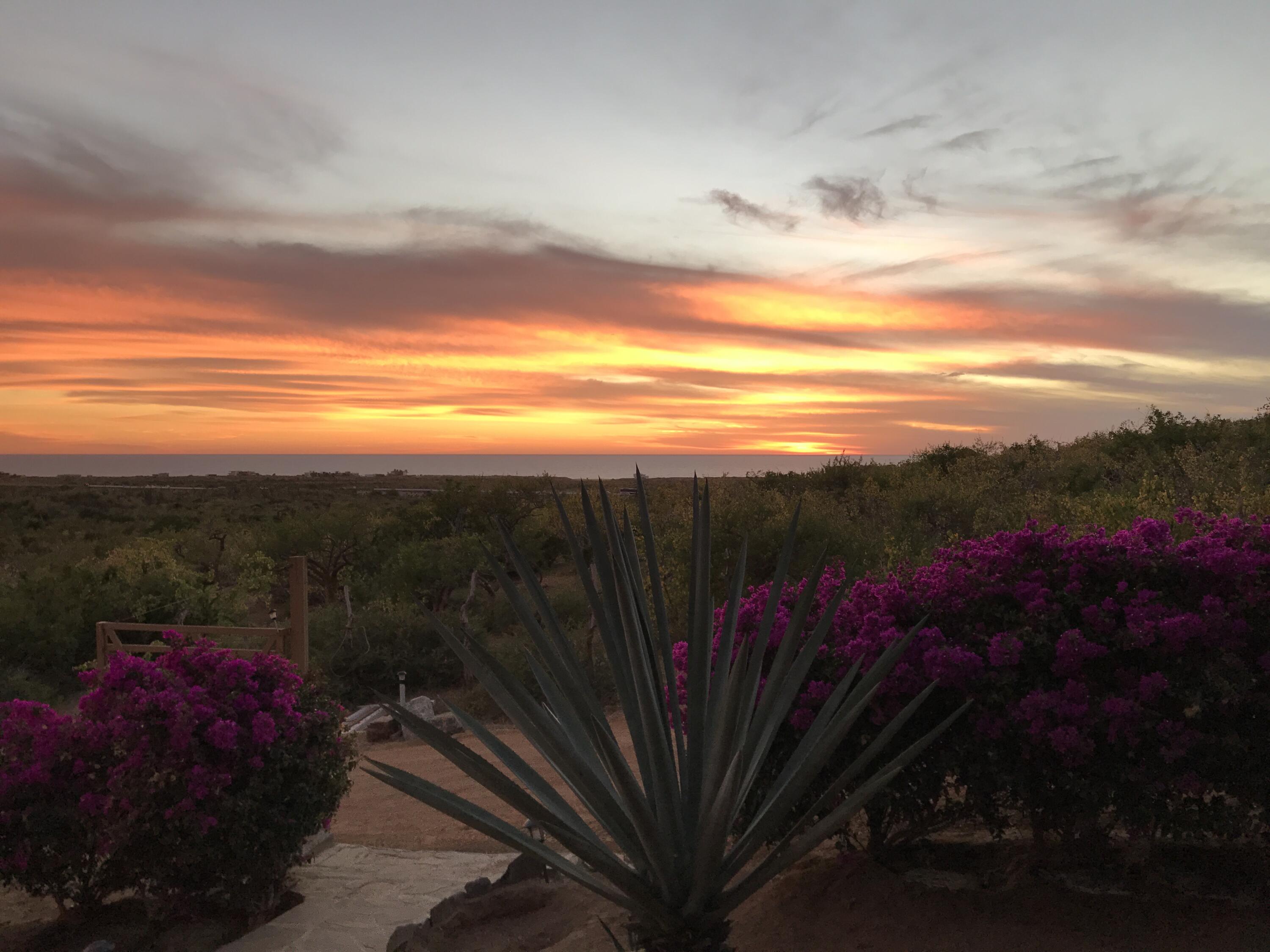 Rancho Alma Pacifica, Cerritos Beach