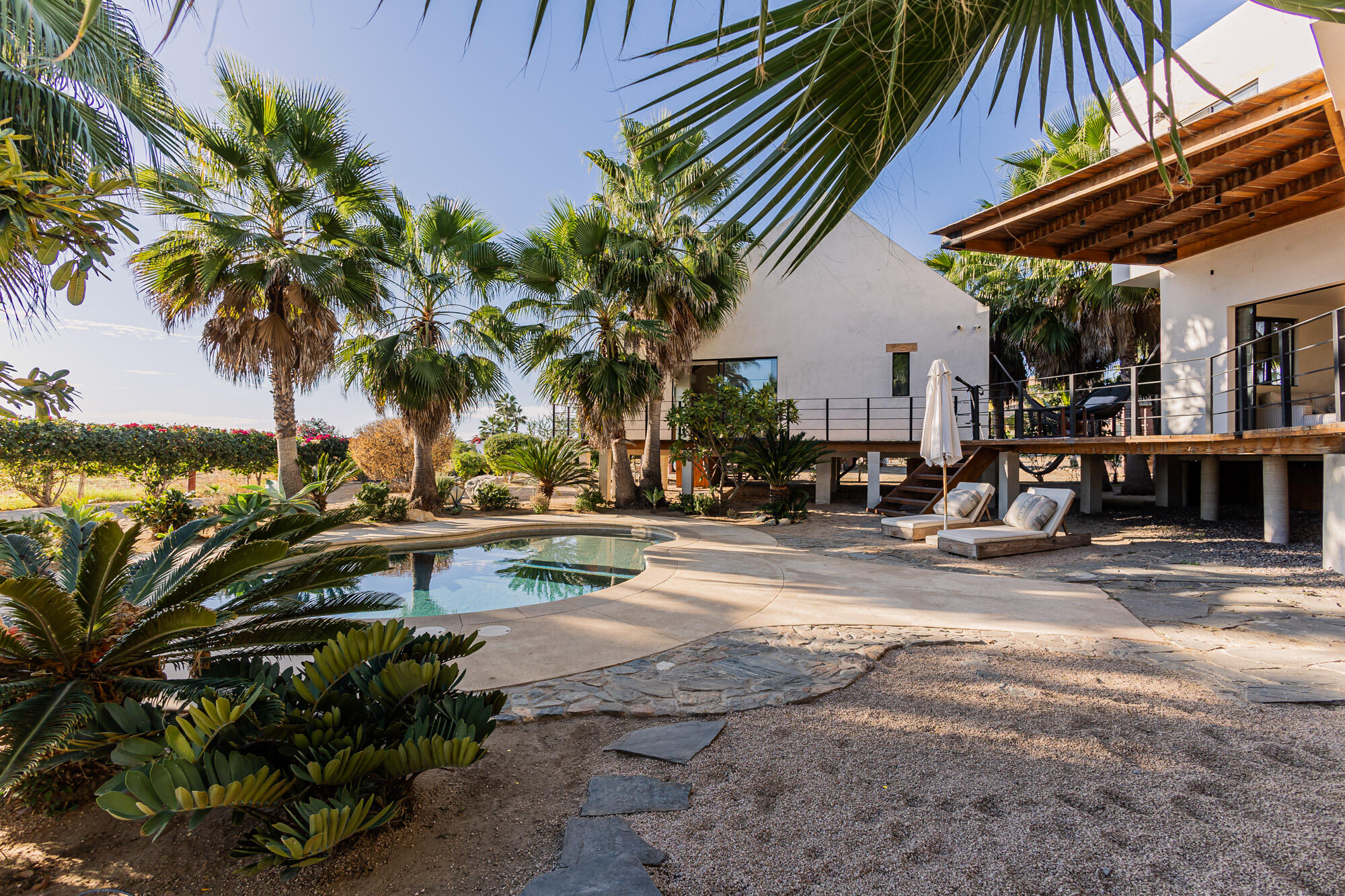 C. de Acceso MiniSuper Munchie, Casa Locura