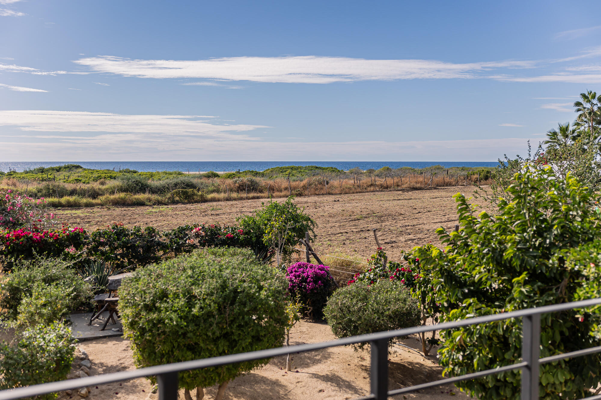 C. de Acceso MiniSuper Munchie, Casa Locura