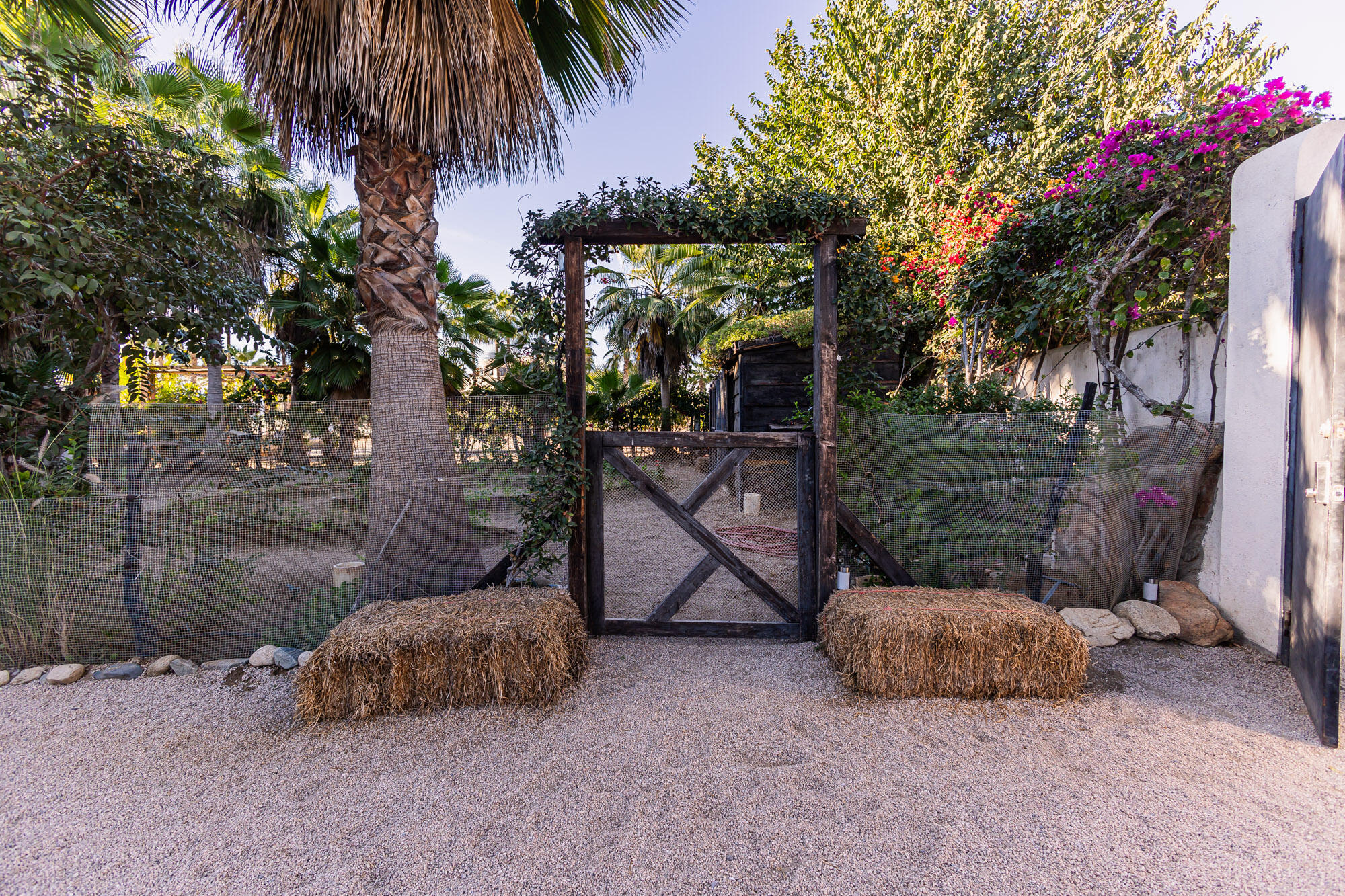 C. de Acceso MiniSuper Munchie, Casa Locura